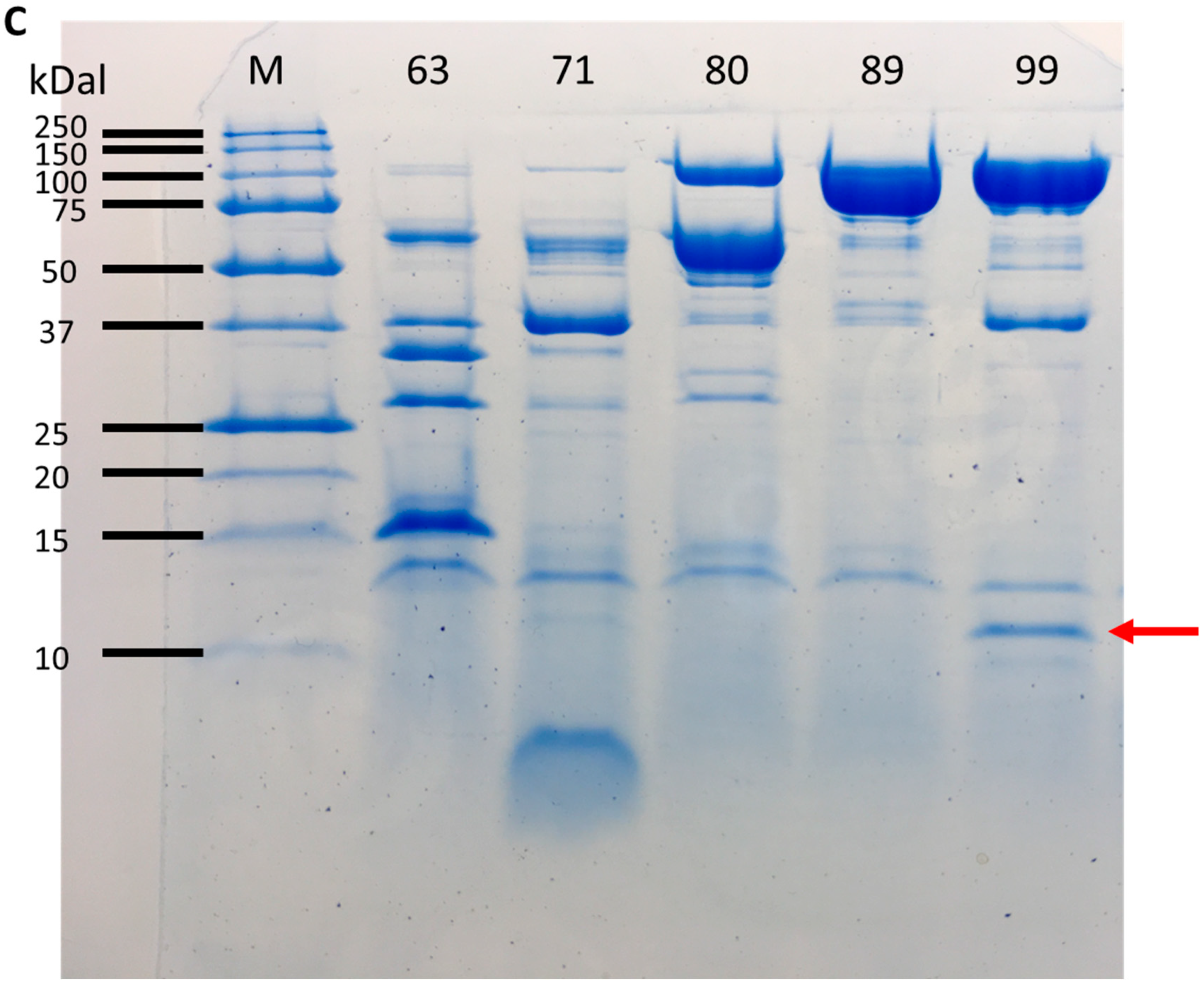 Applsci 13 10257 g006b