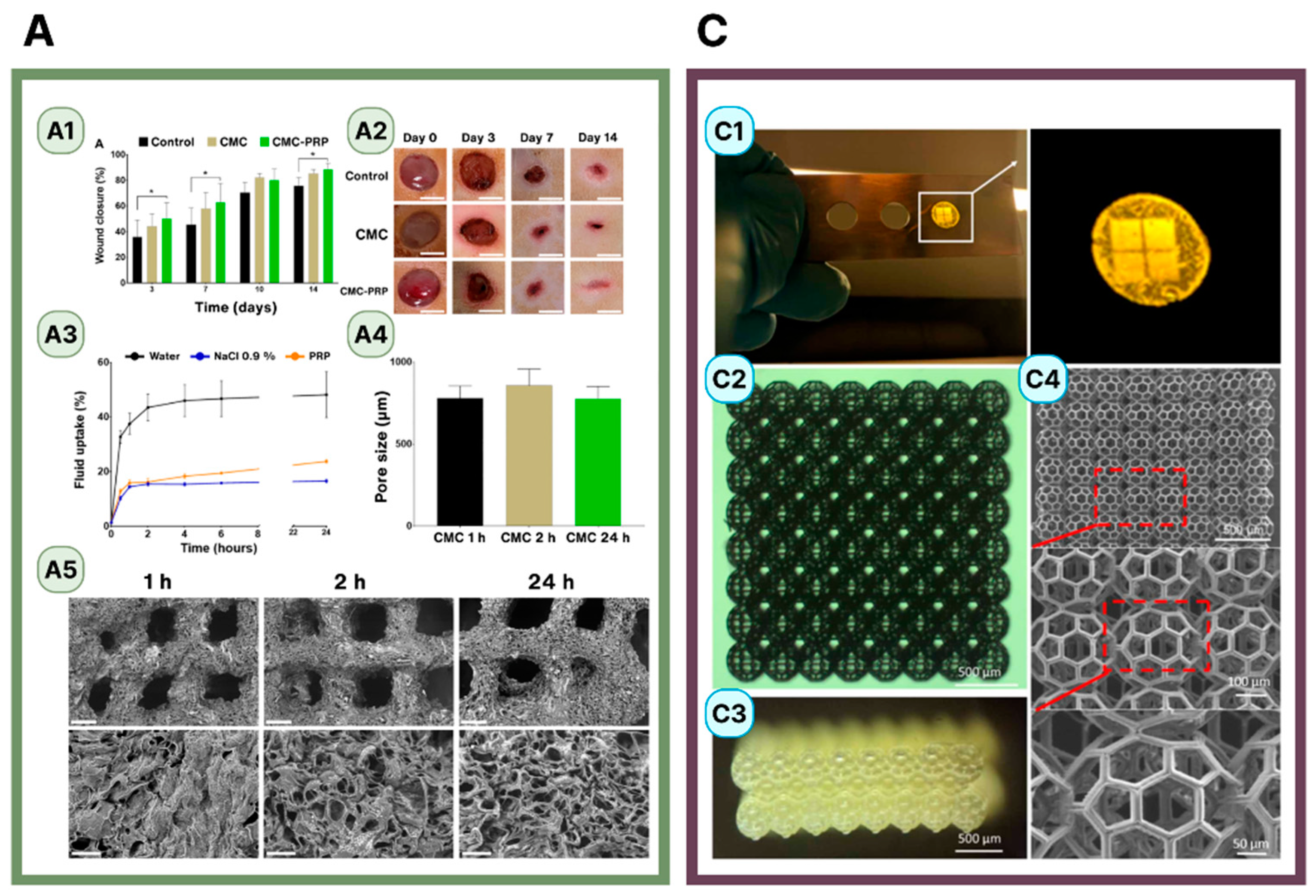 Applsci 13 10269 g003a