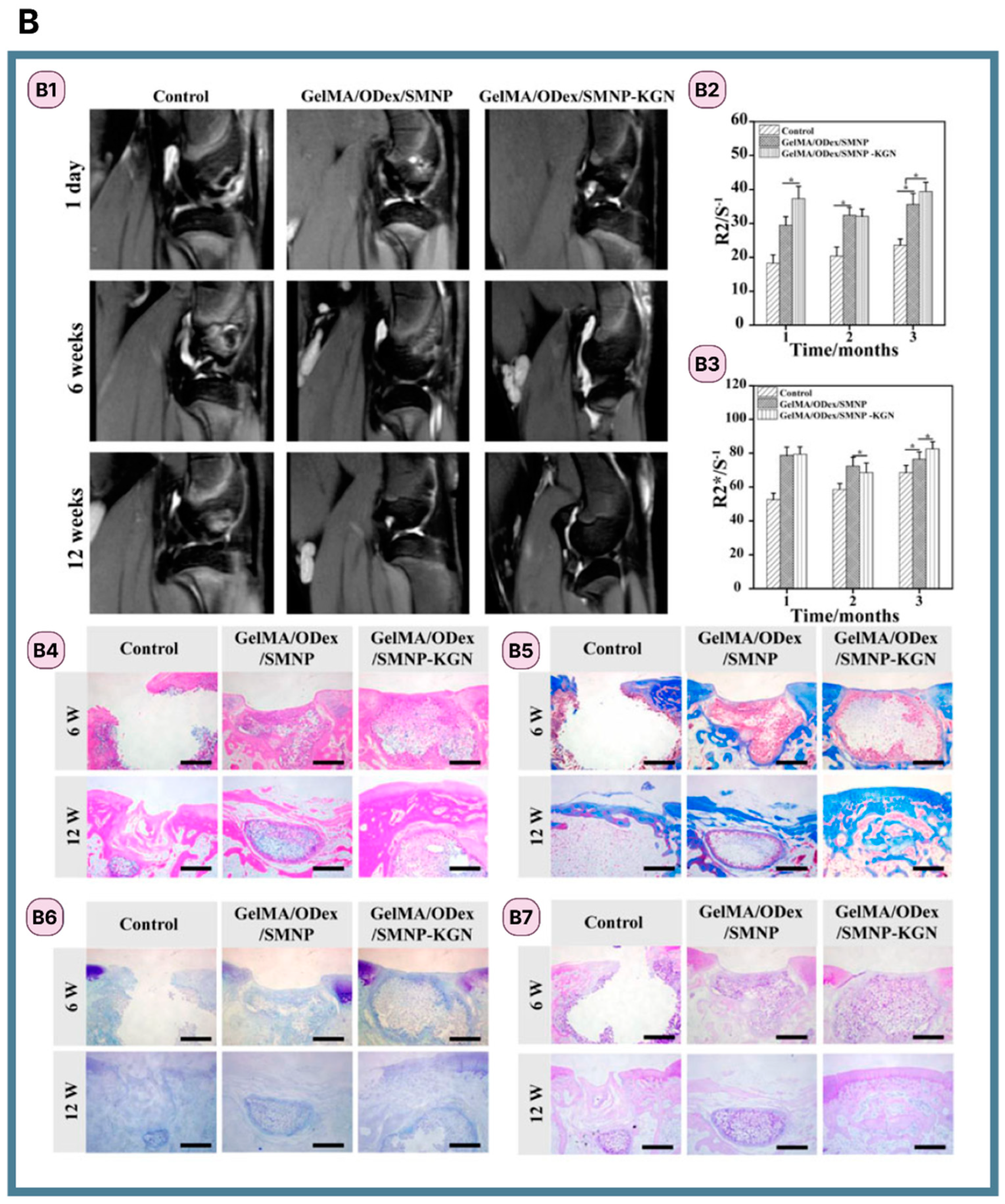 Applsci 13 10269 g003b