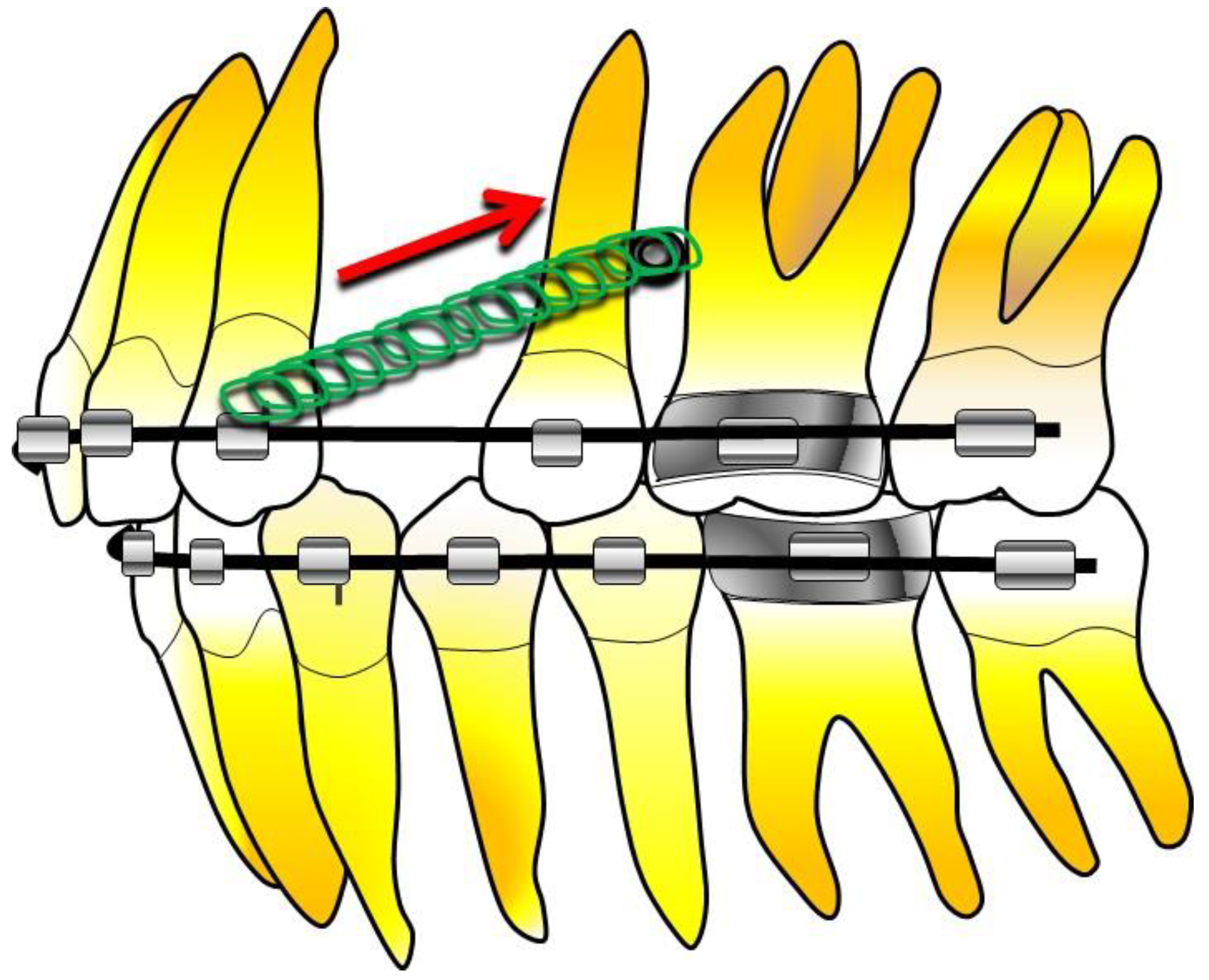 Applsci 13 10393 g003 Applsci 13 10393 g003