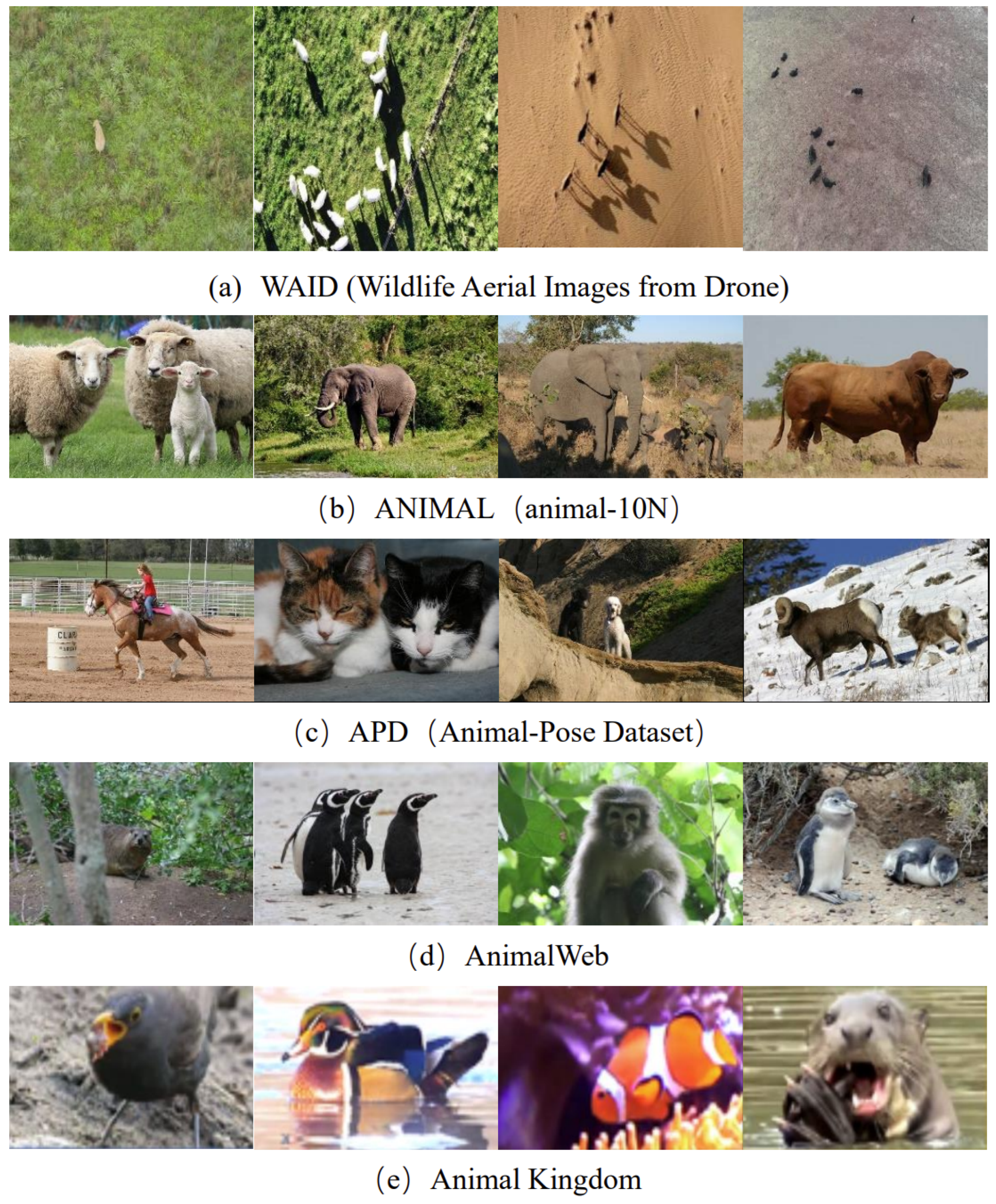 Applsci 13 10397 g002 Applsci 13 10397 g002