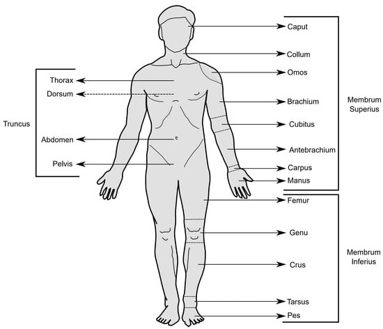 Applsci 13 10399 g007