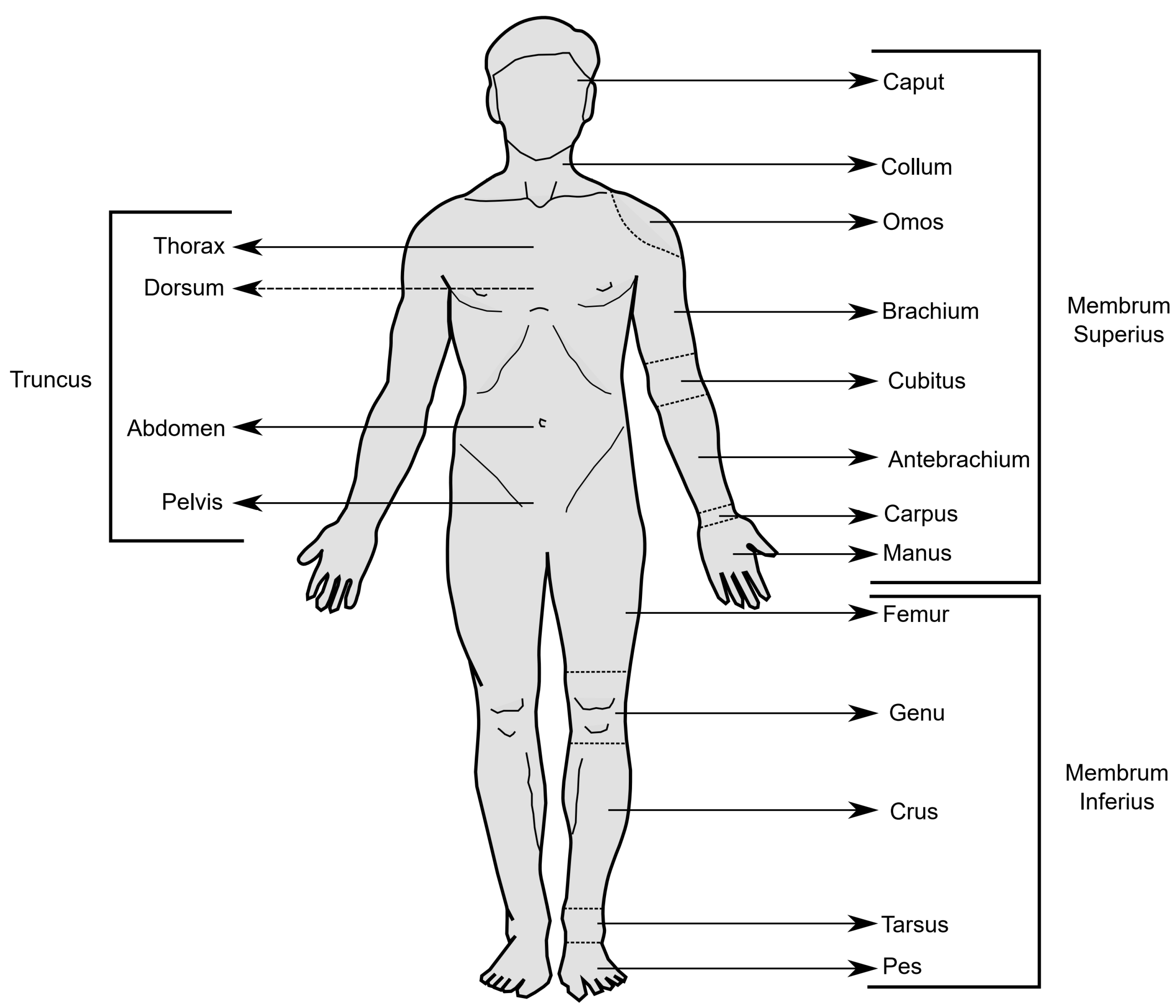 Applsci 13 10399 g007