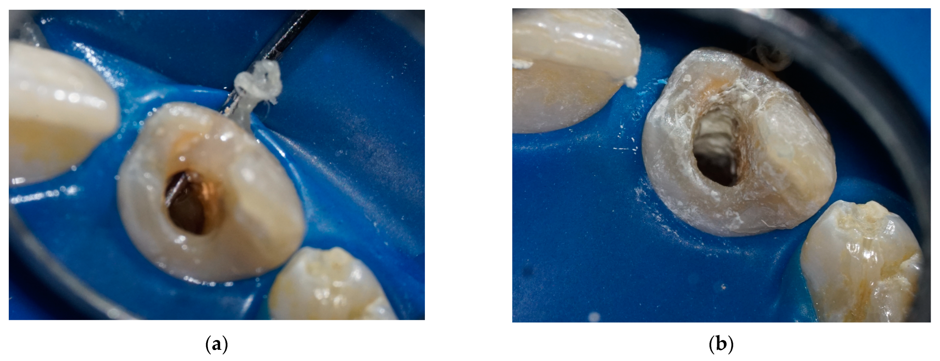 Applsci 13 10400 g002 Applsci 13 10400 g002