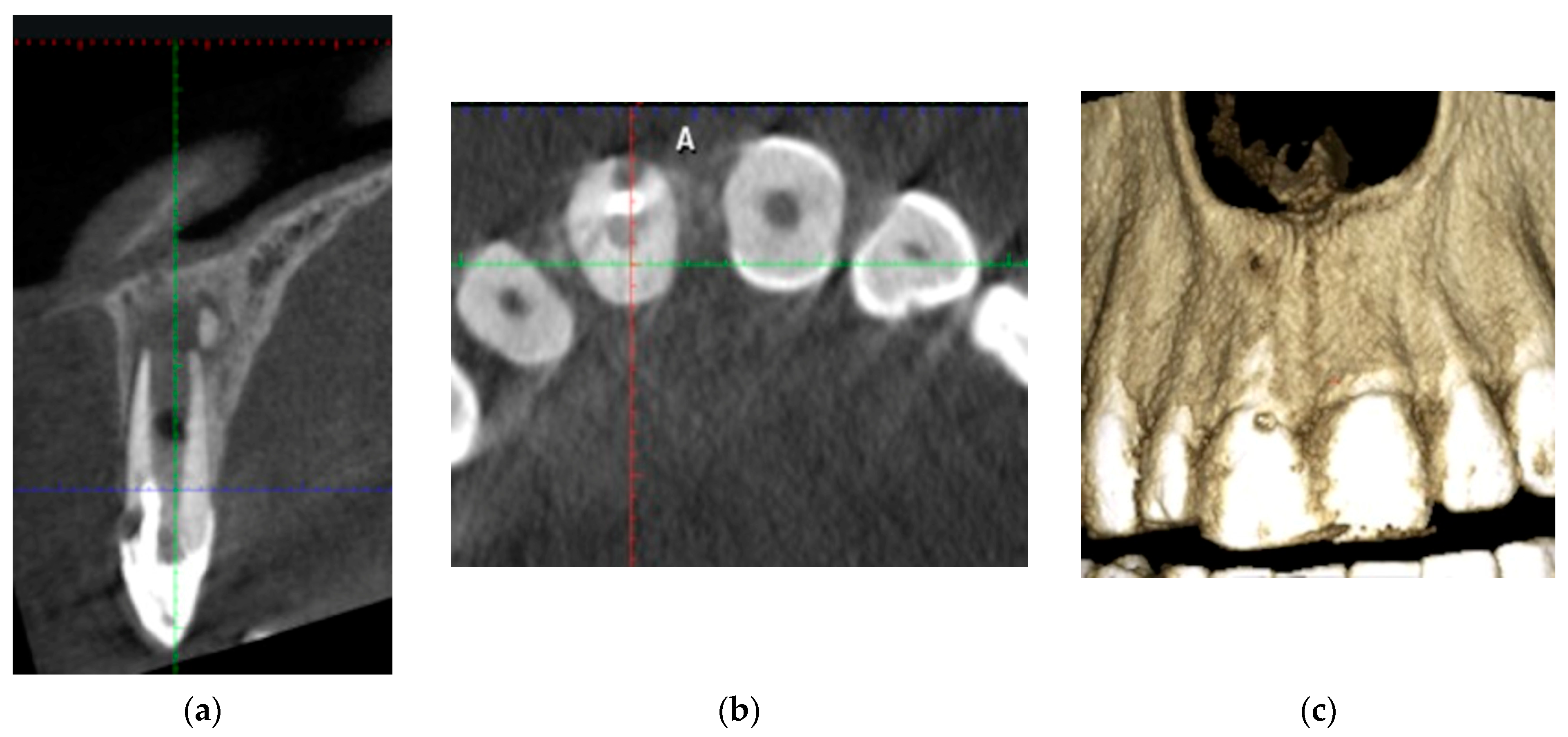 Applsci 13 10400 g003 Applsci 13 10400 g003