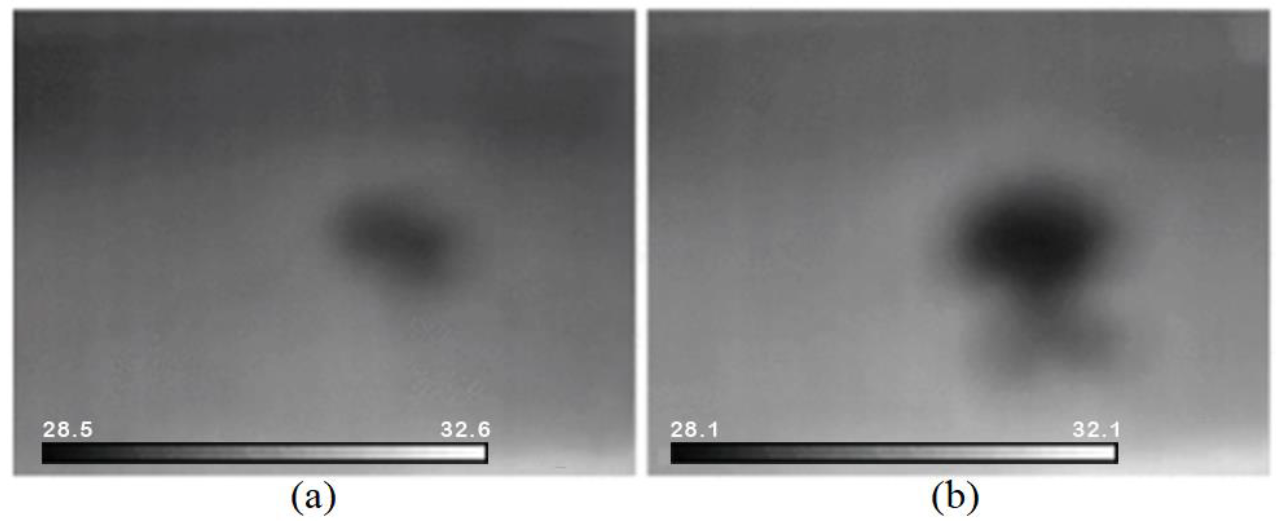 Applsci 13 10416 g005