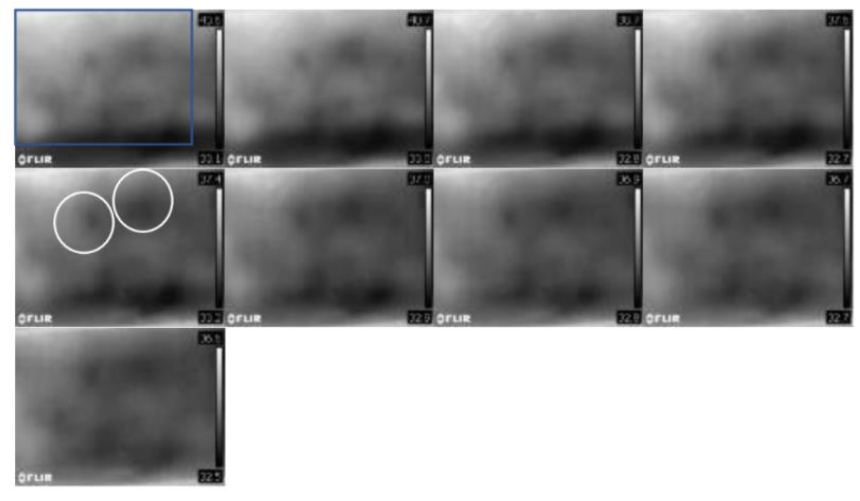 Applsci 13 10416 g009