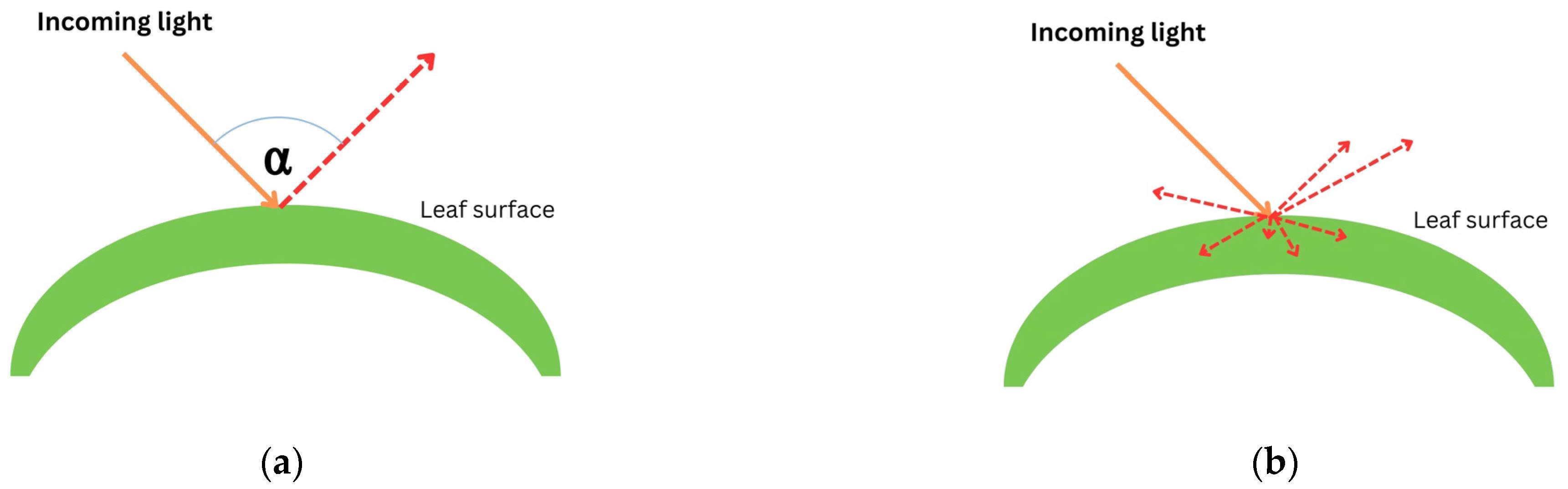 Applsci 13 10420 g002a