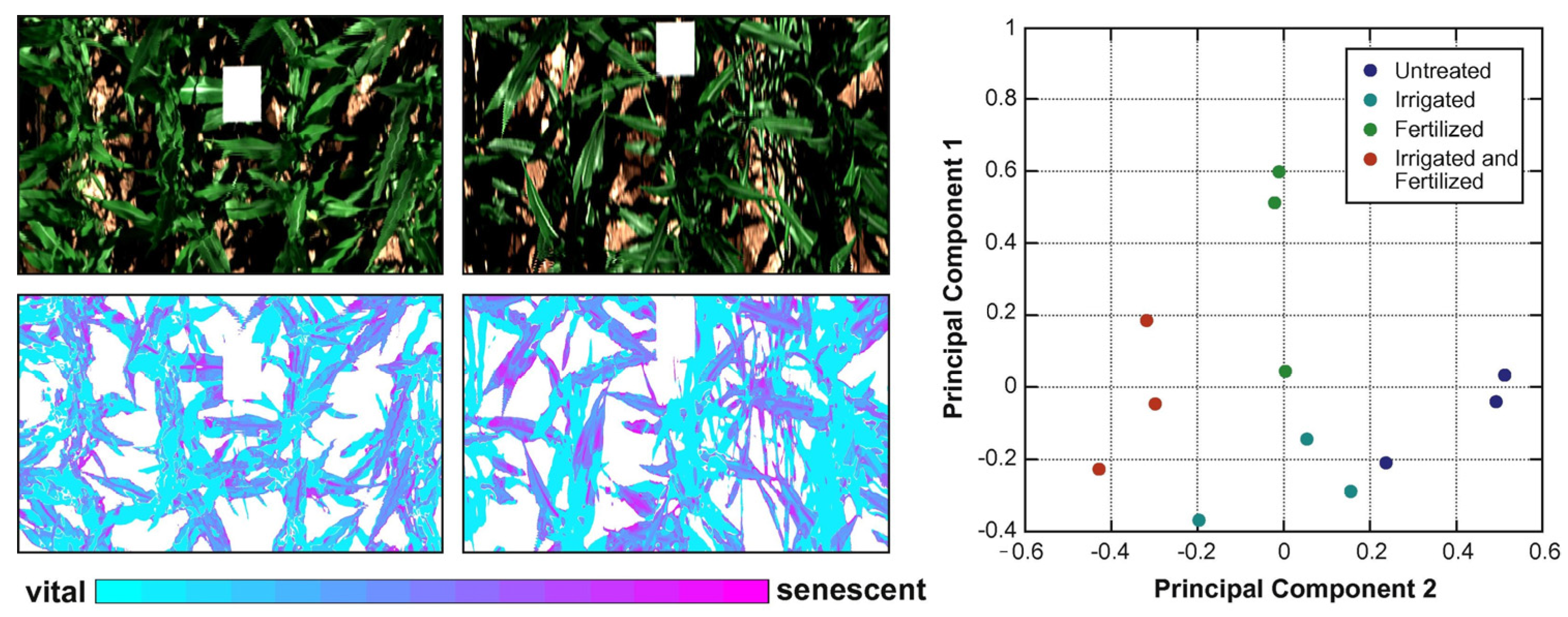 Applsci 13 10420 g005