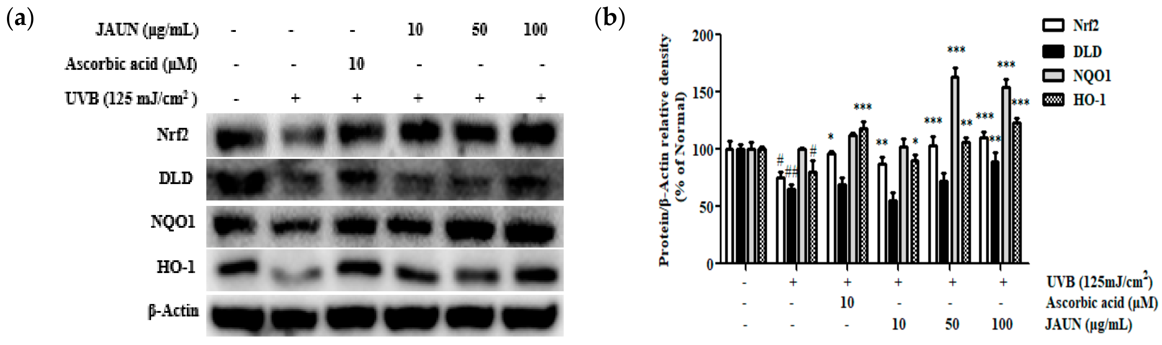 Applsci 13 10425 g009