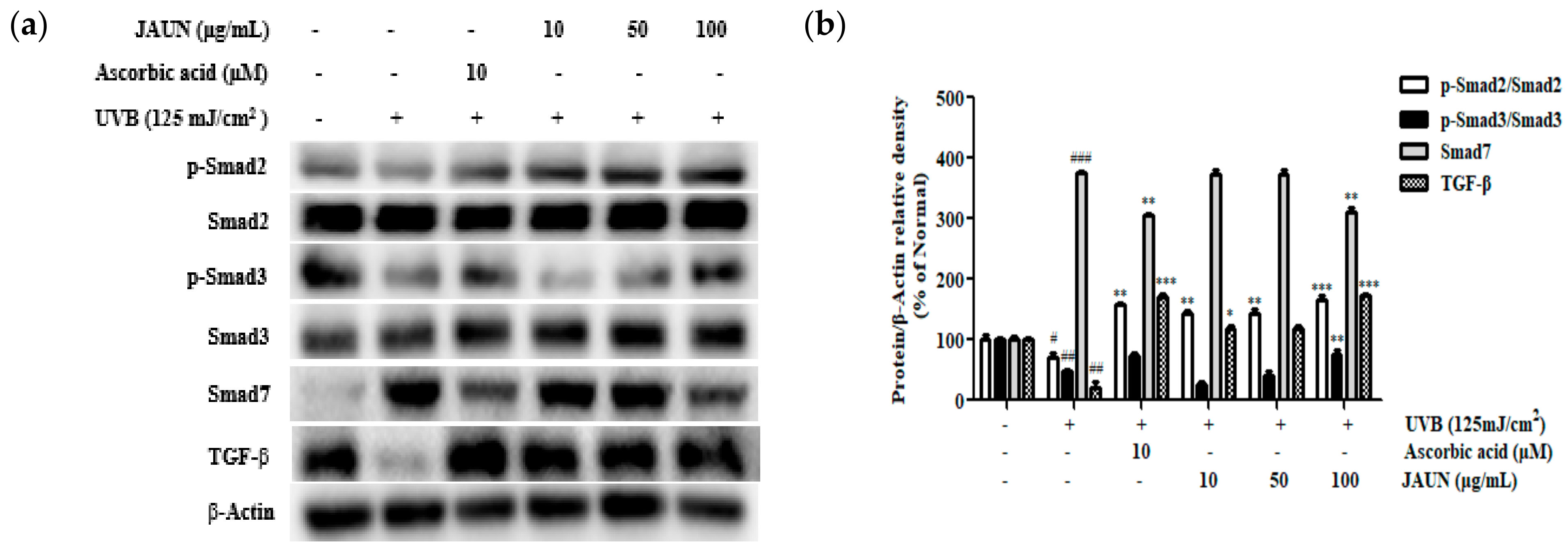 Applsci 13 10425 g010