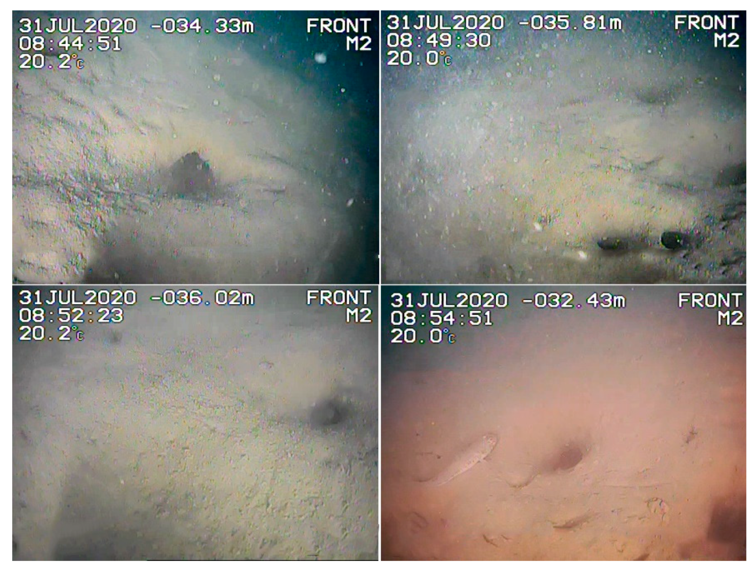 Applsci 13 10449 g006 Applsci 13 10449 g006