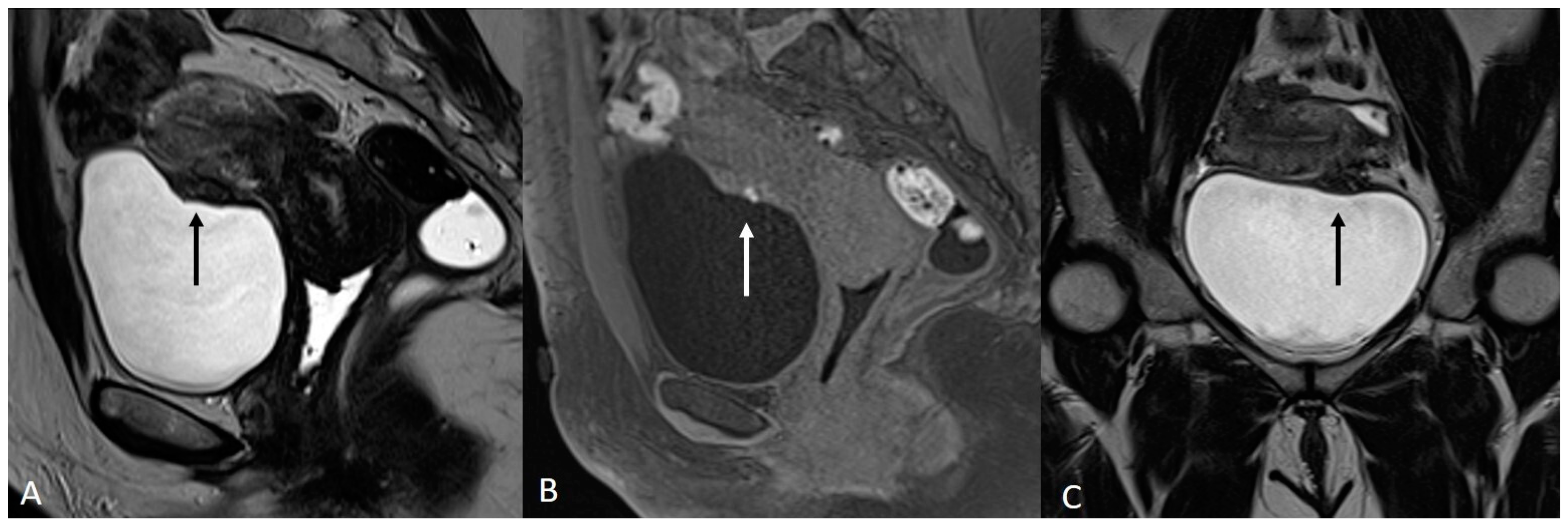 Applsci 13 10509 g001 Applsci 13 10509 g001