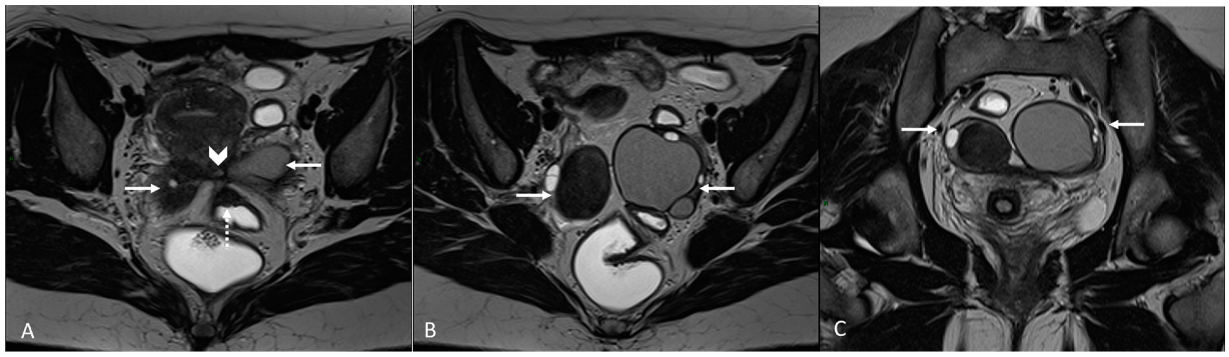 Applsci 13 10509 g004 Applsci 13 10509 g004