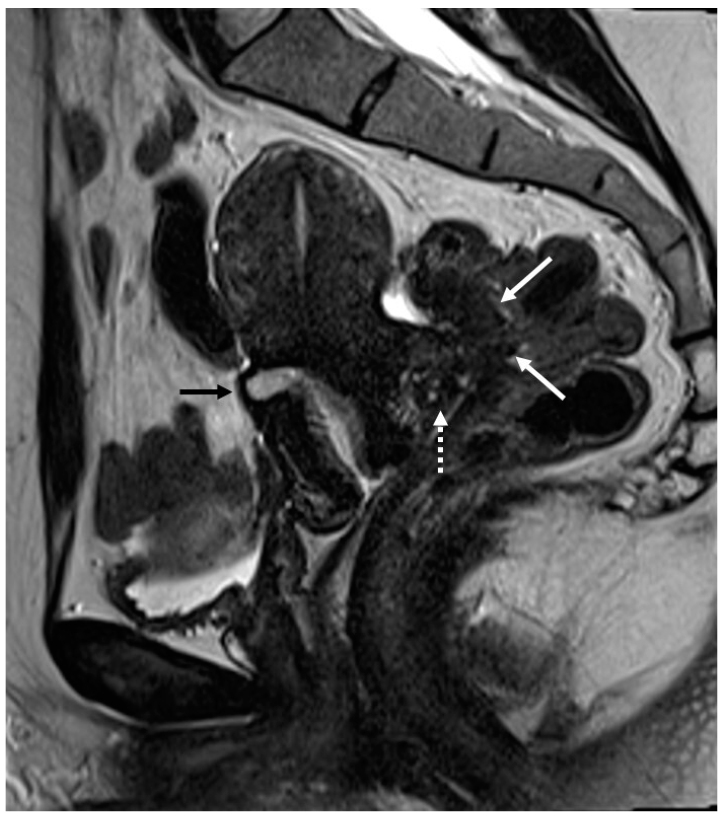 Applsci 13 10509 g006 Applsci 13 10509 g006