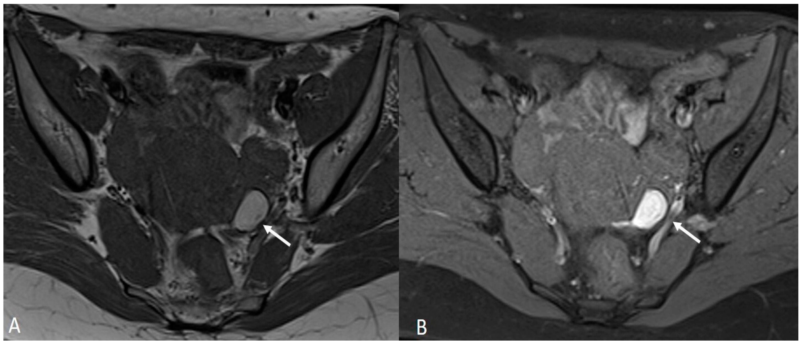 Applsci 13 10509 g007 Applsci 13 10509 g007