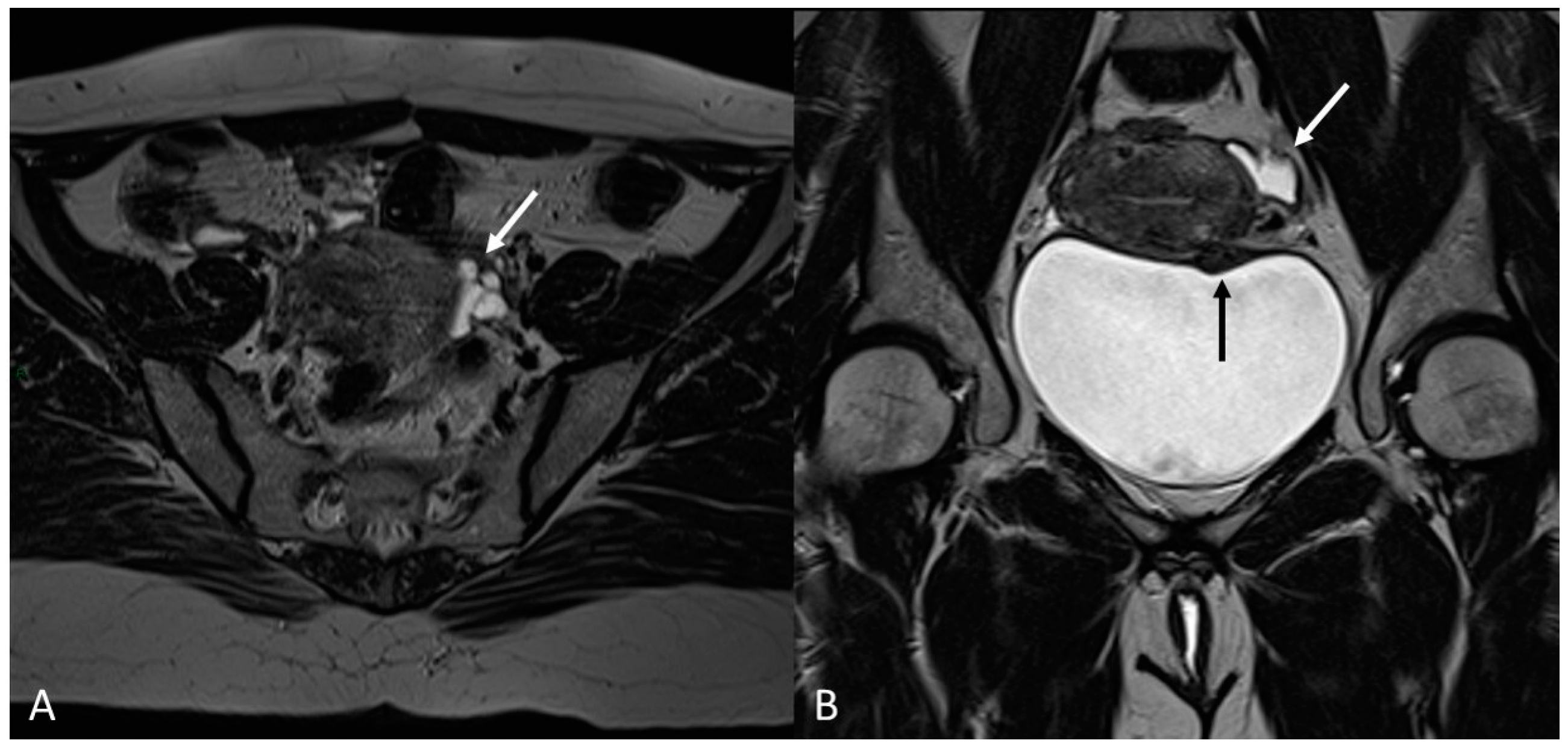 Applsci 13 10509 g015 Applsci 13 10509 g015