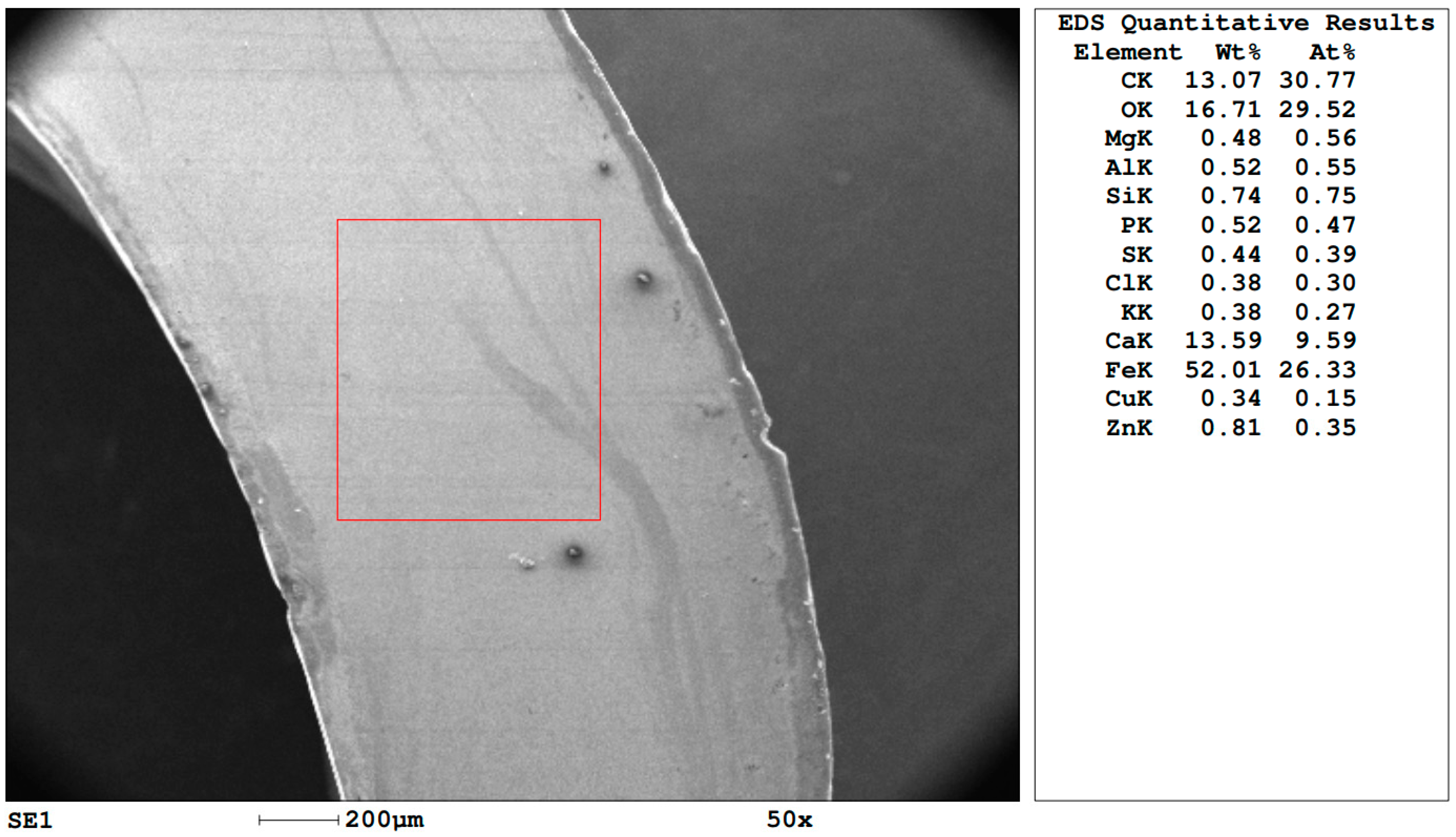 Applsci 13 10564 g002