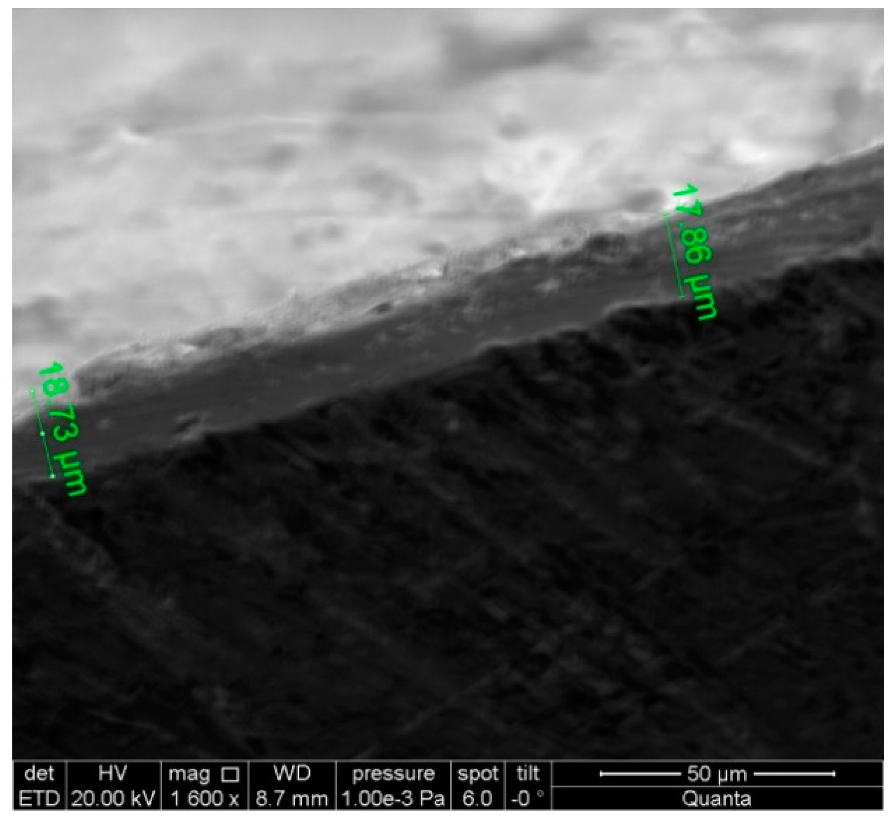 Applsci 13 10564 g012