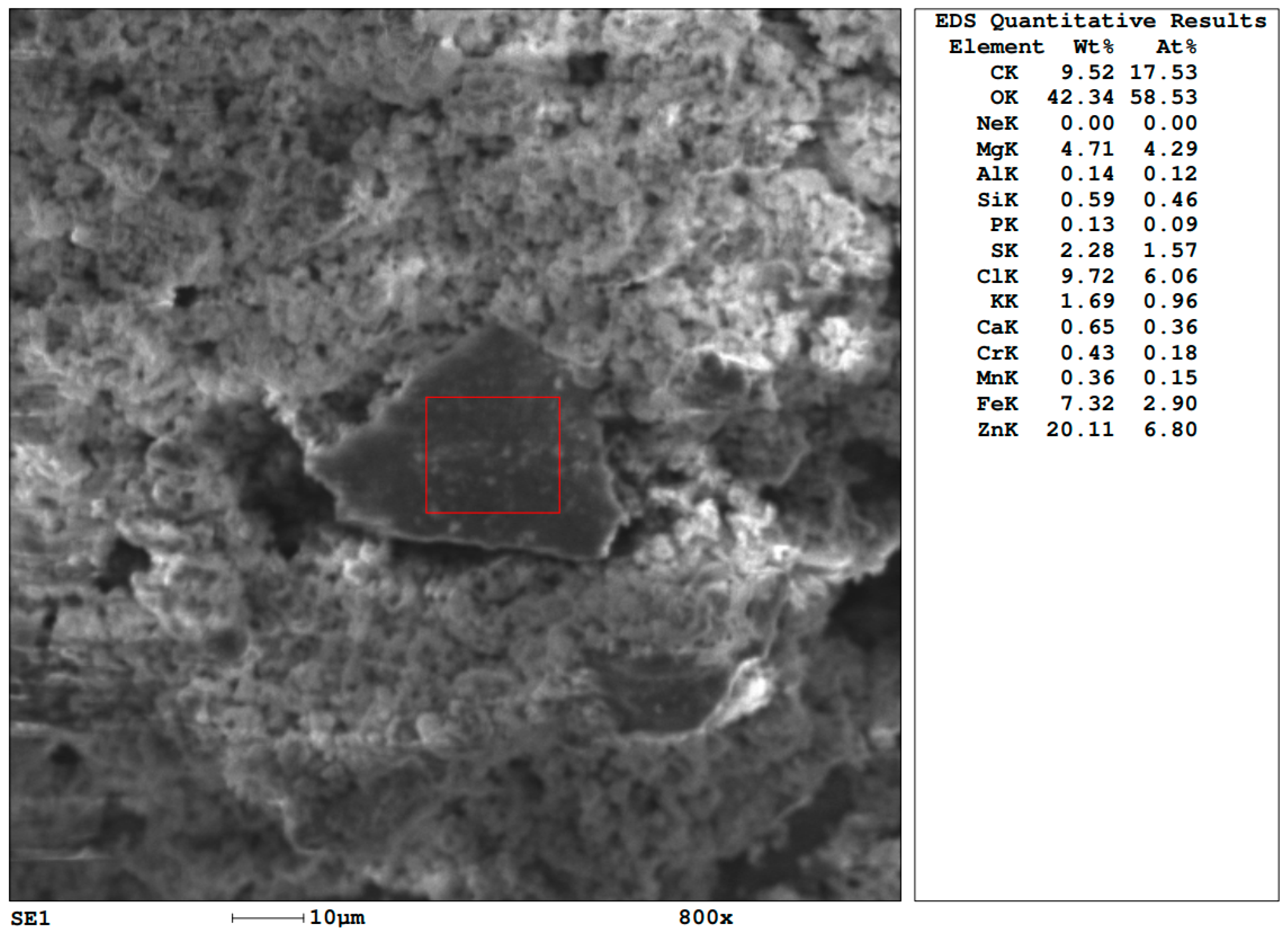 Applsci 13 10564 g013