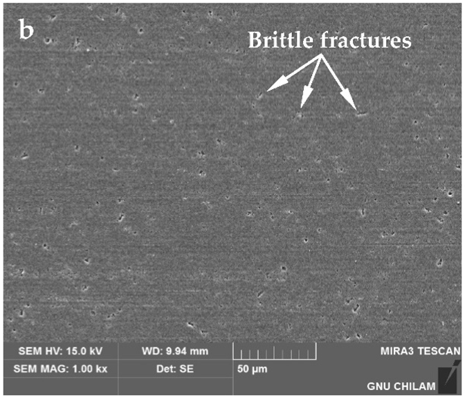 Applsci 13 10584 i020