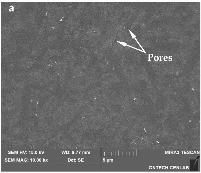 Applsci 13 10584 i025