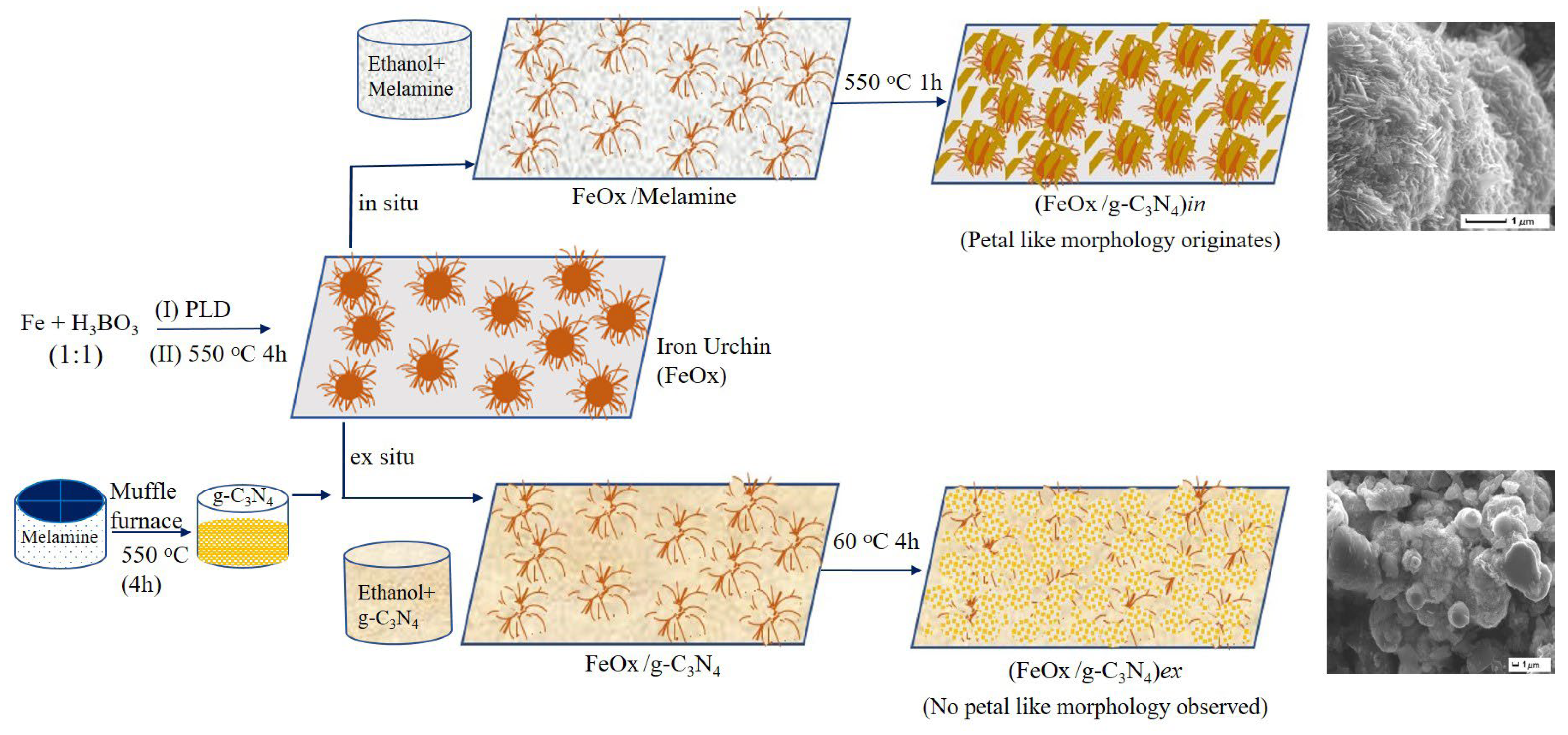 Applsci 13 10591 g001