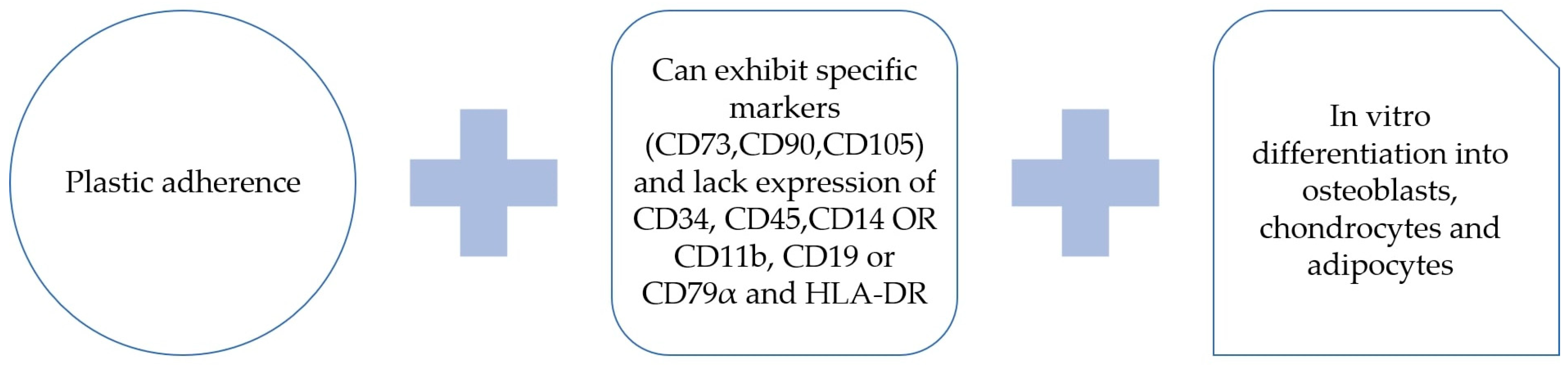 Applsci 13 10617 g003