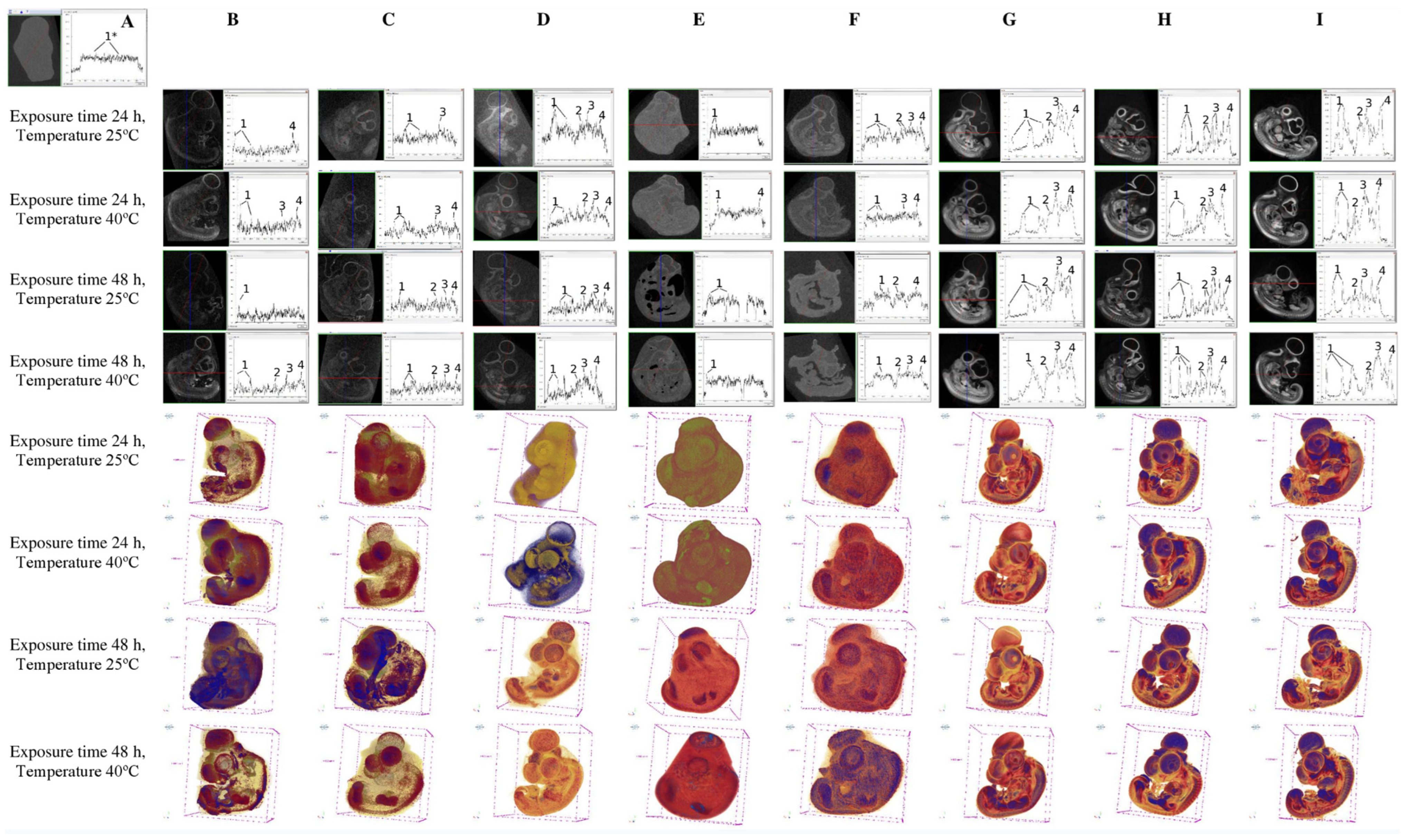 Applsci 13 10642 g001