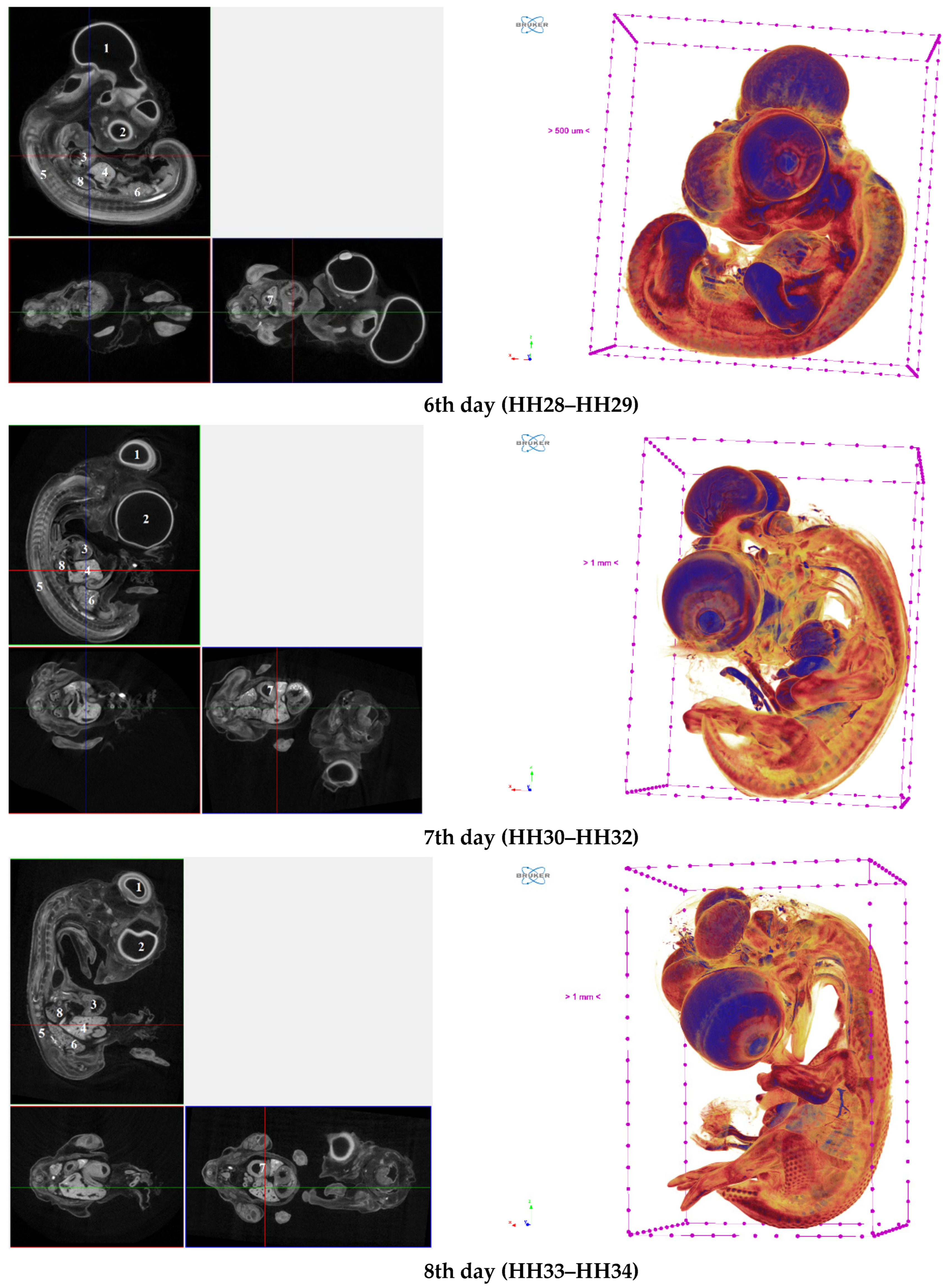 Applsci 13 10642 g003b