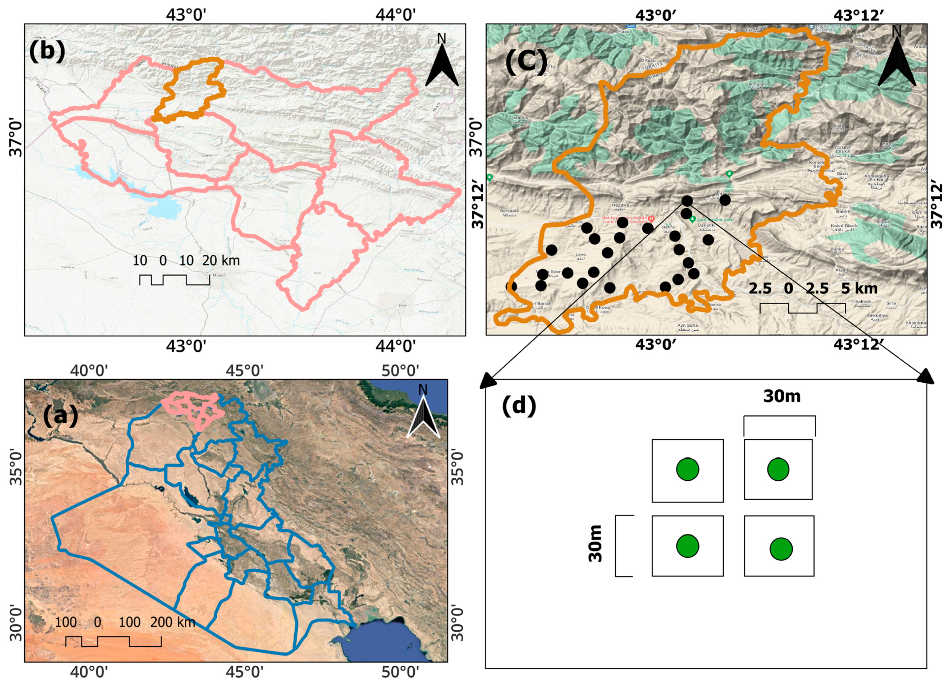 Applsci 13 10666 g001