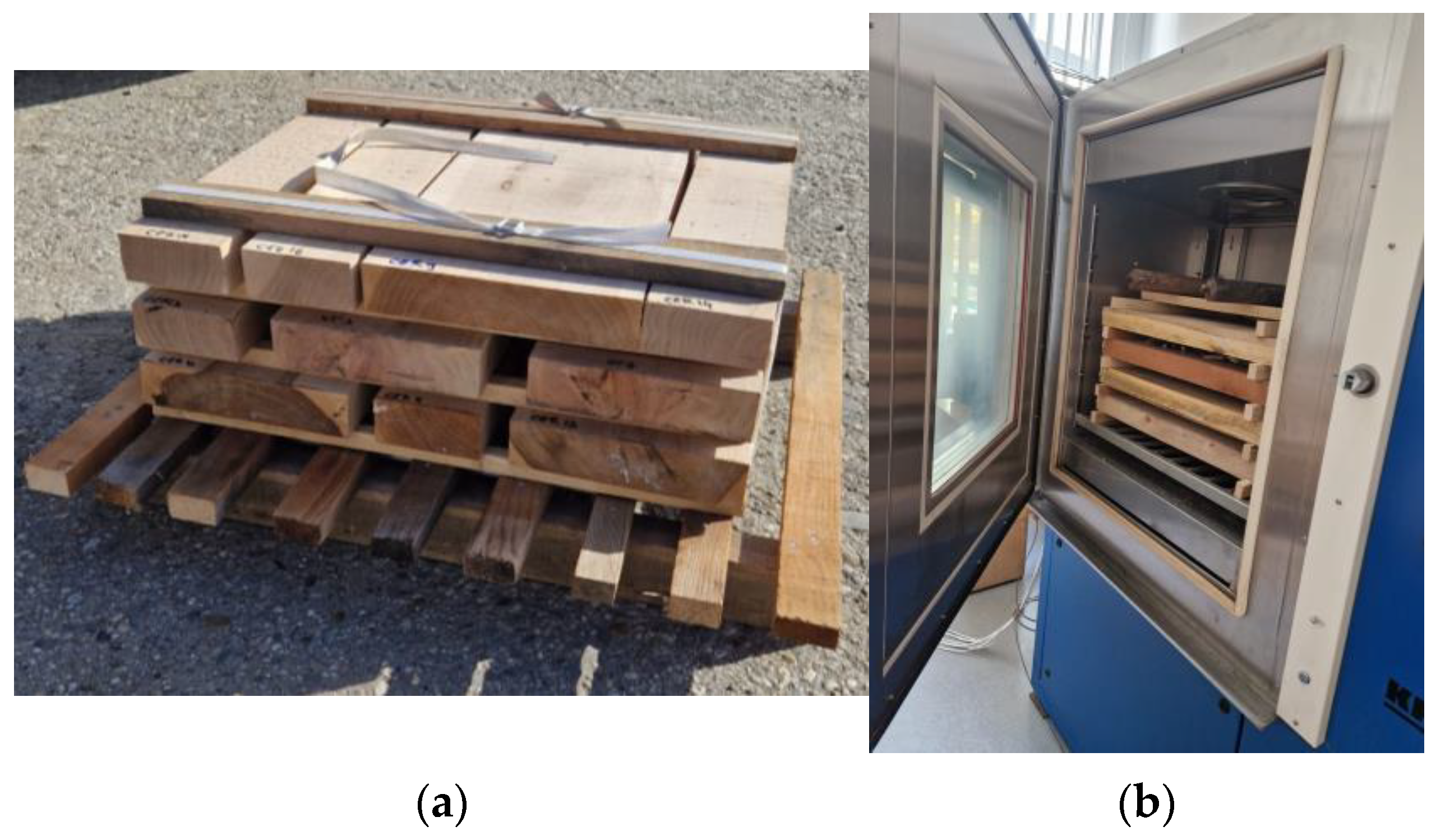 Applsci 13 10676 g001