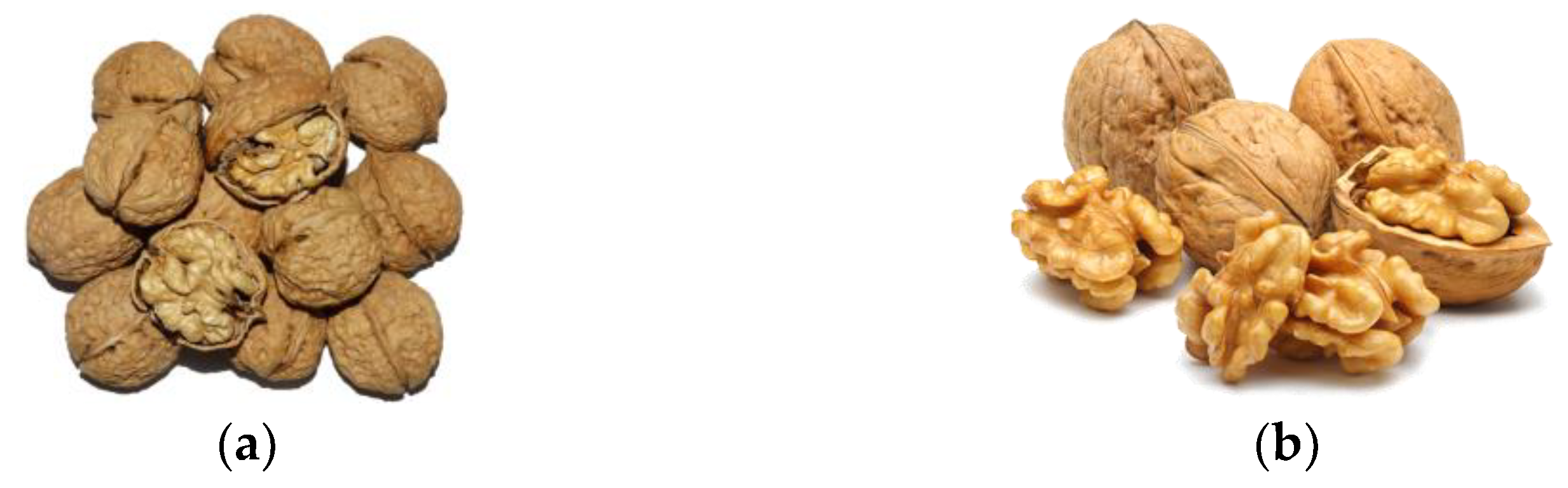 Applsci 13 10685 g001