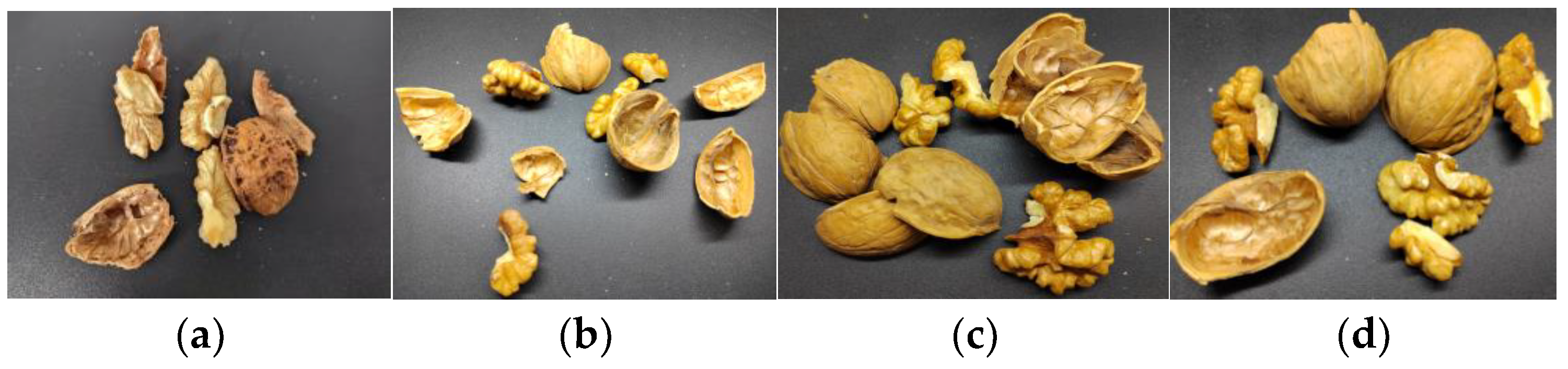 Applsci 13 10685 g002