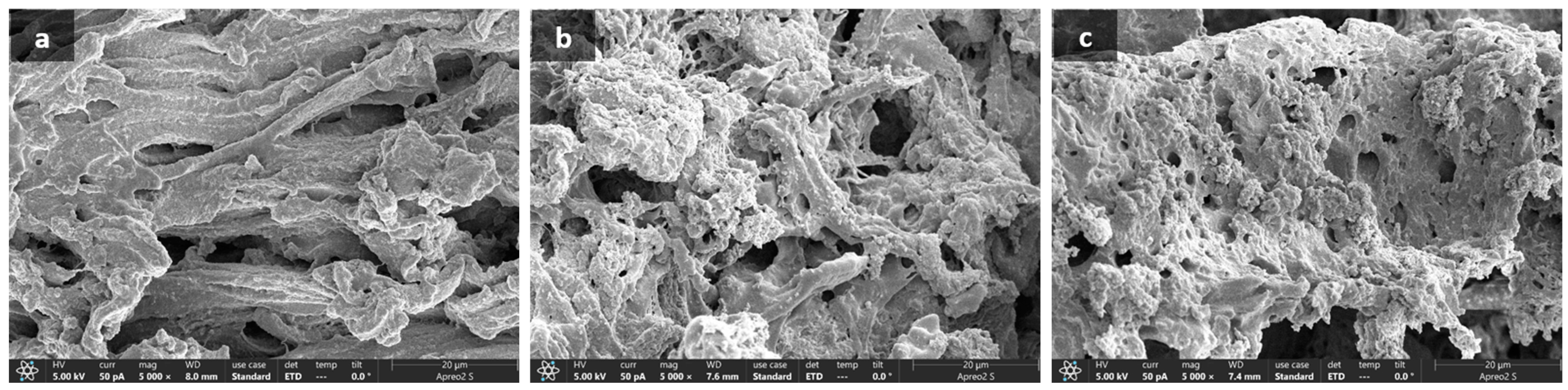 Applsci 13 10735 g002 Applsci 13 10735 g002