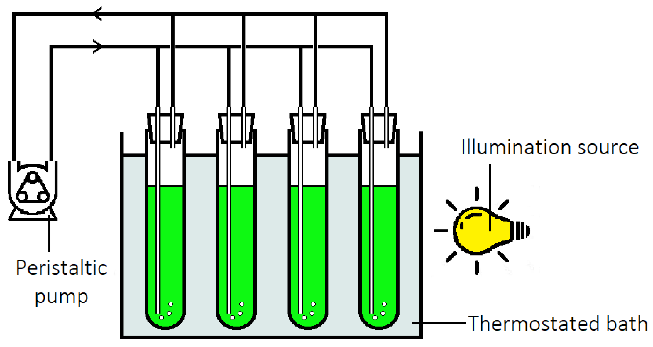 Applsci 13 10779 g006 Applsci 13 10779 g006