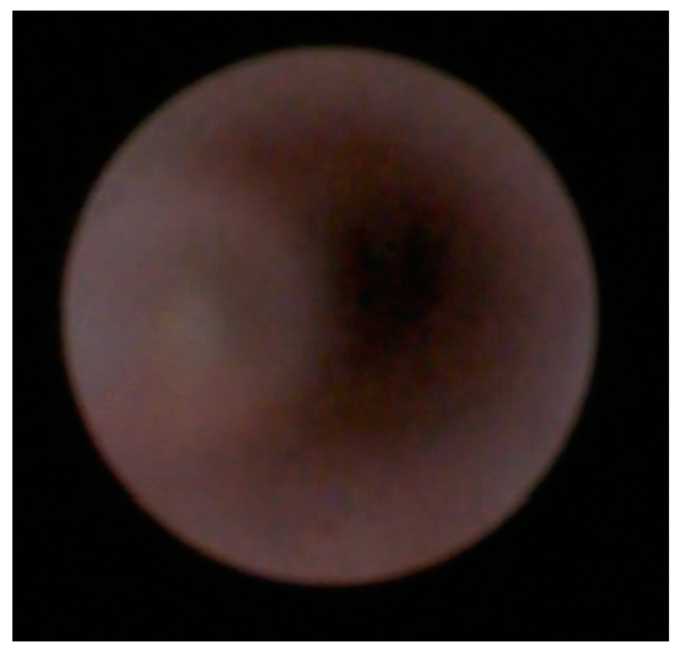 Applsci 13 10780 g005 Applsci 13 10780 g005