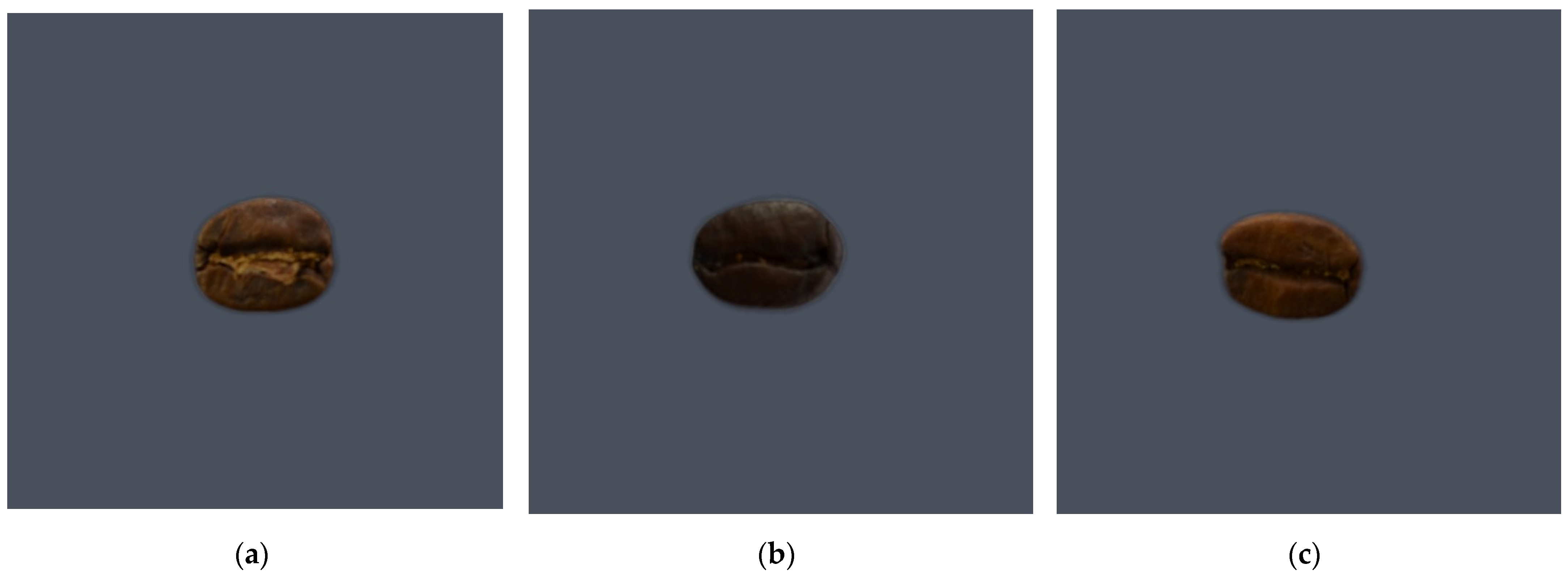 Applsci 13 10786 g001