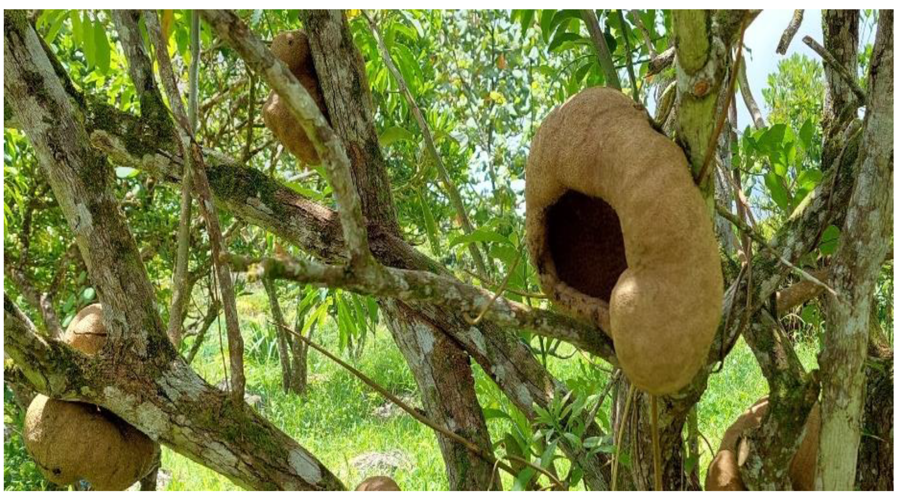 Applsci 13 10908 g001