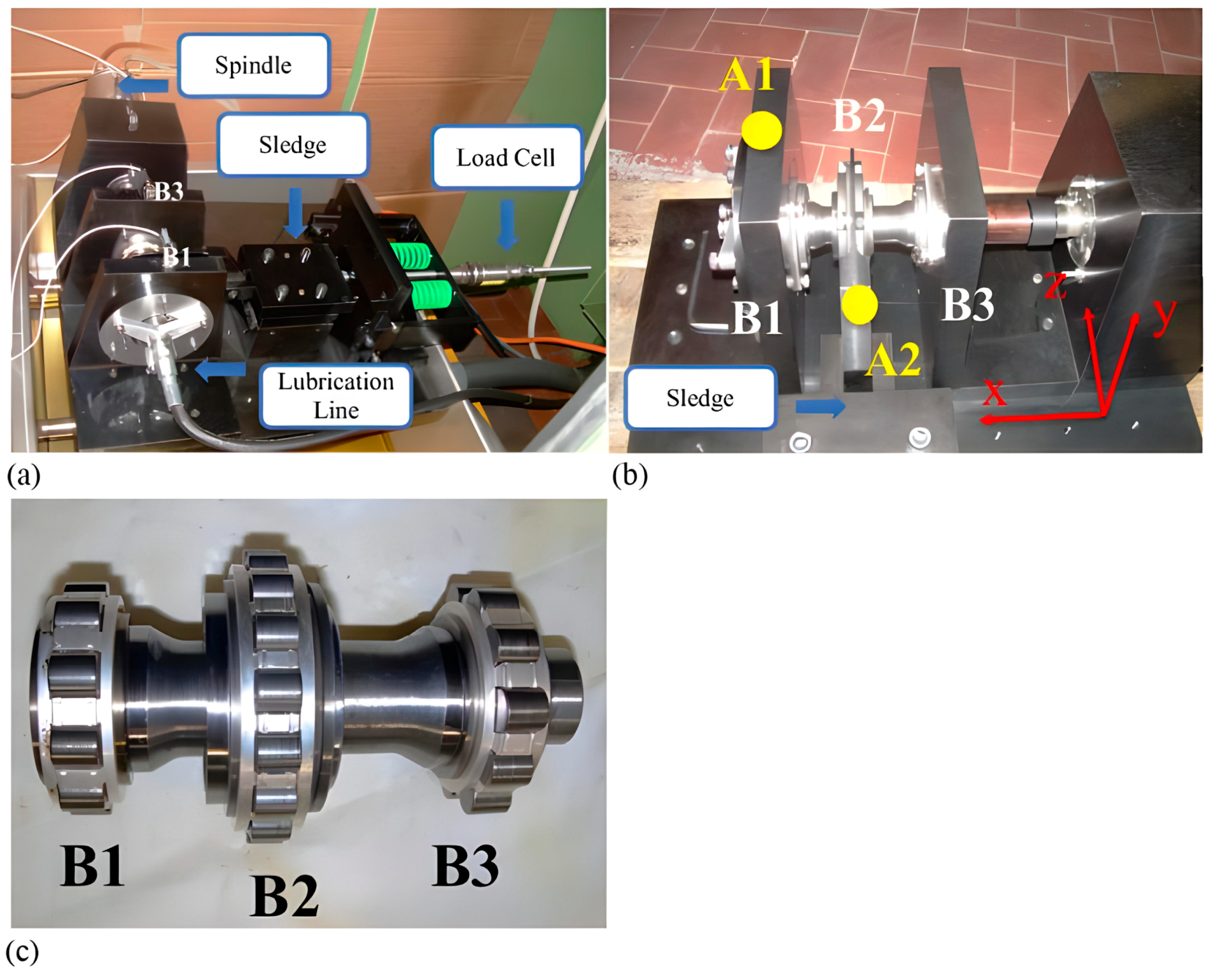 Applsci 13 10916 g001