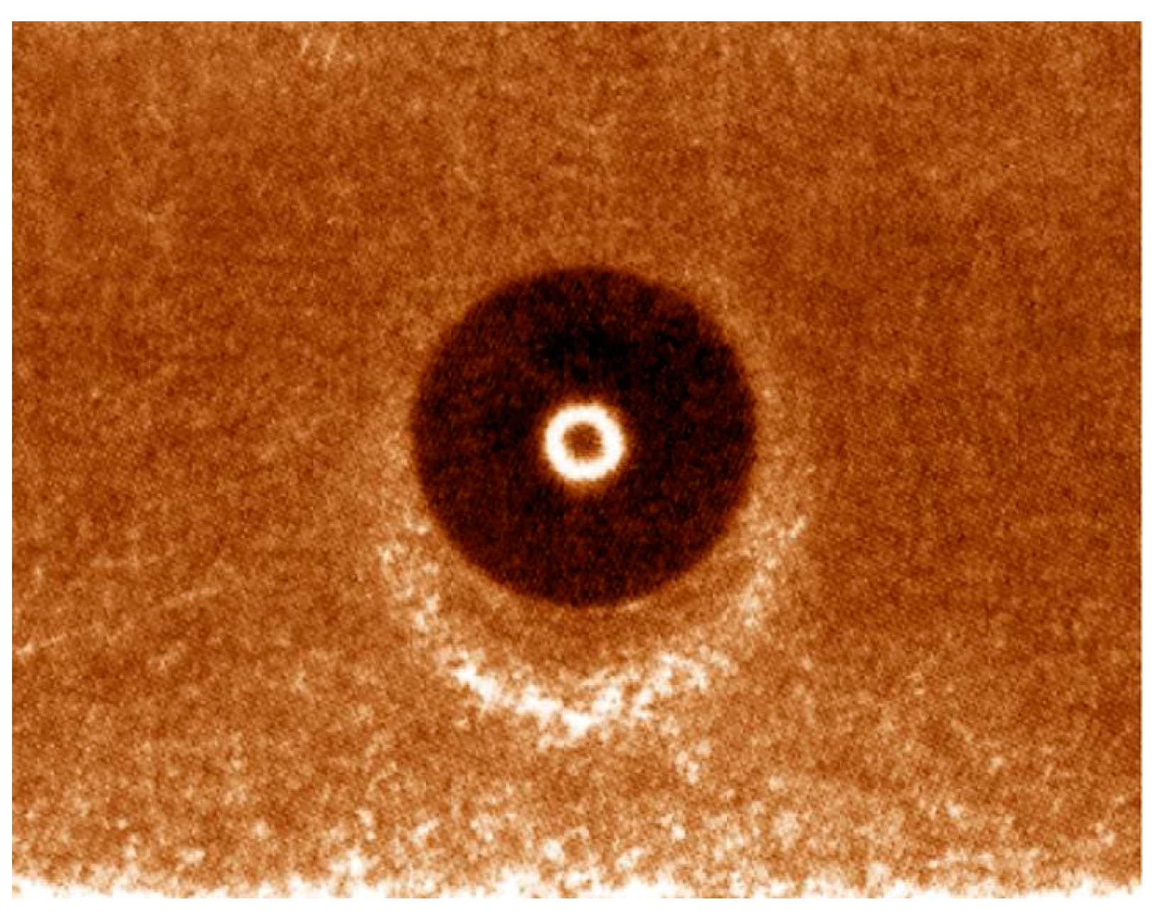 Applsci 13 10916 g002