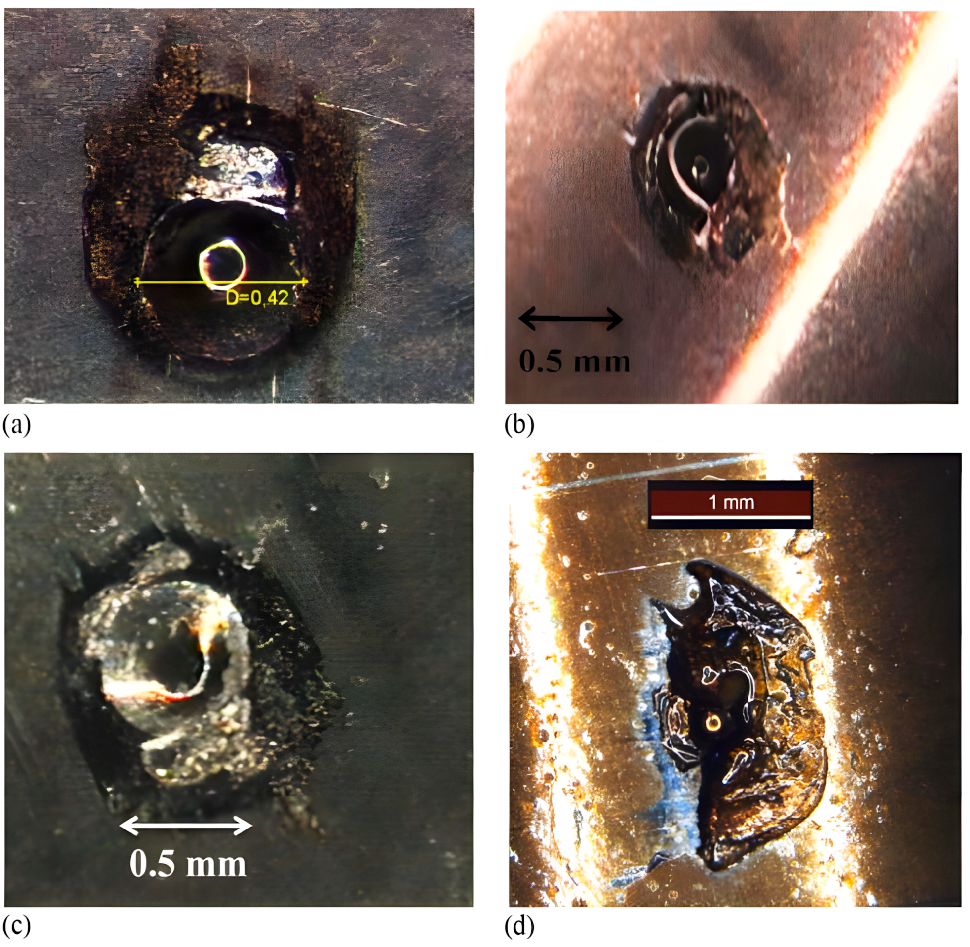 Applsci 13 10916 g003