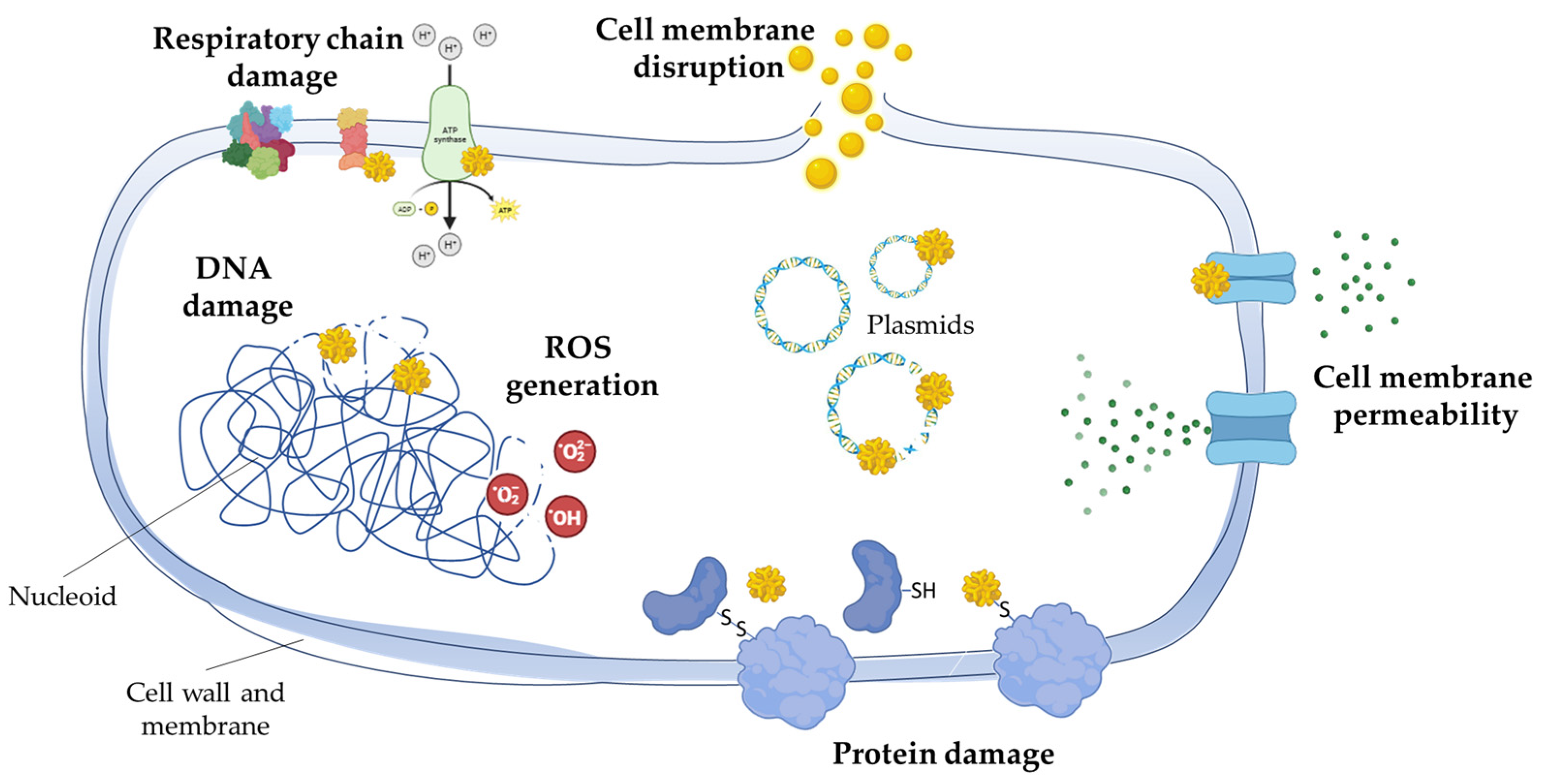 Applsci 13 10934 g001