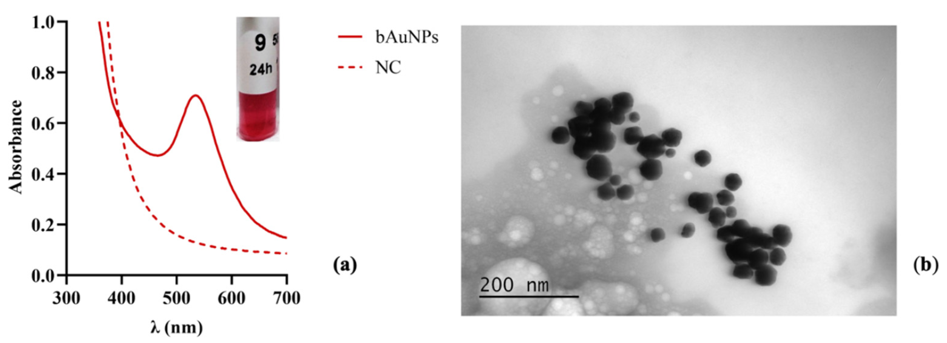 Applsci 13 10934 g002