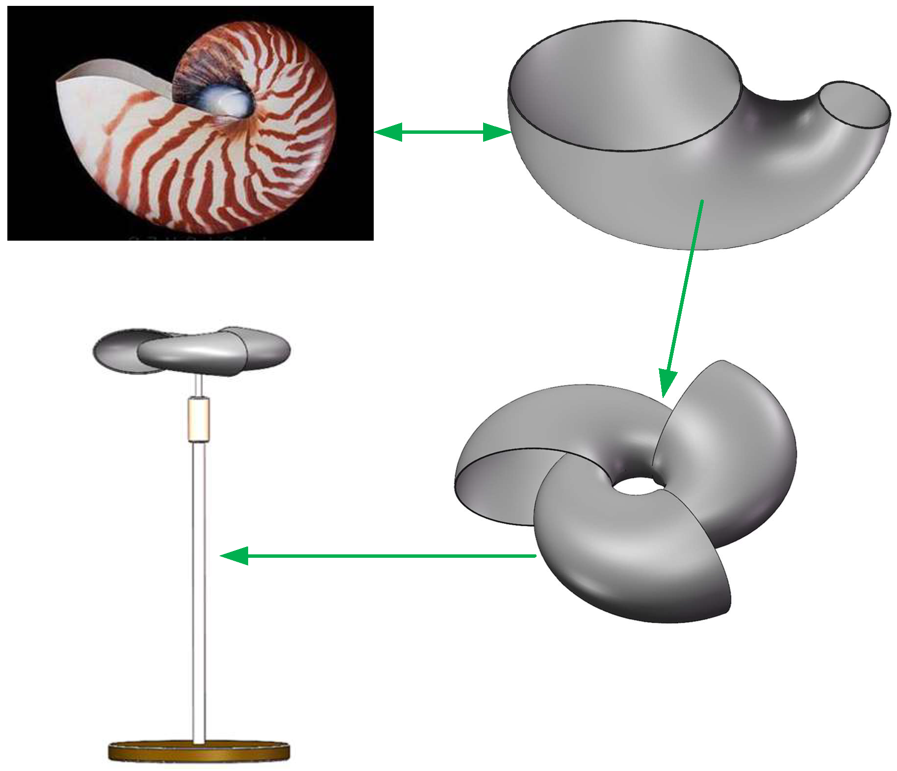 Applsci 13 10959 g001