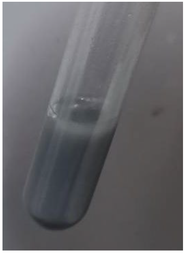 Applsci 13 10974 g010