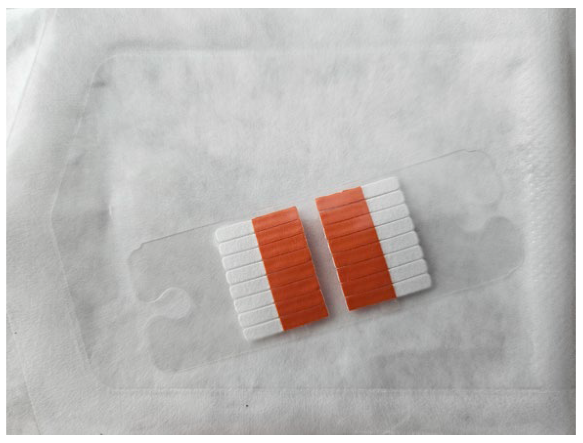 Applsci 13 10993 g001