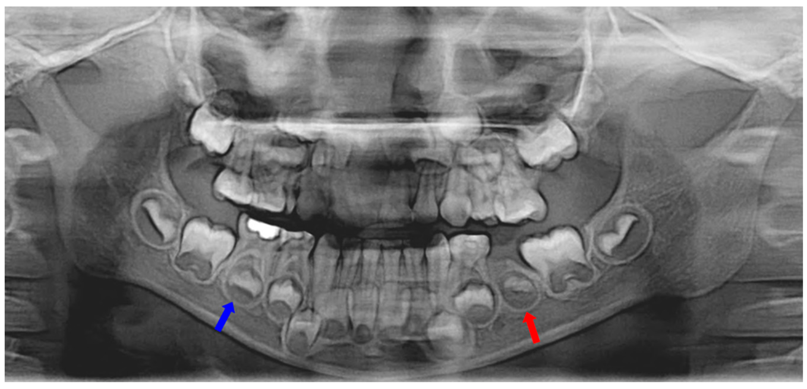 Applsci 13 11008 g002