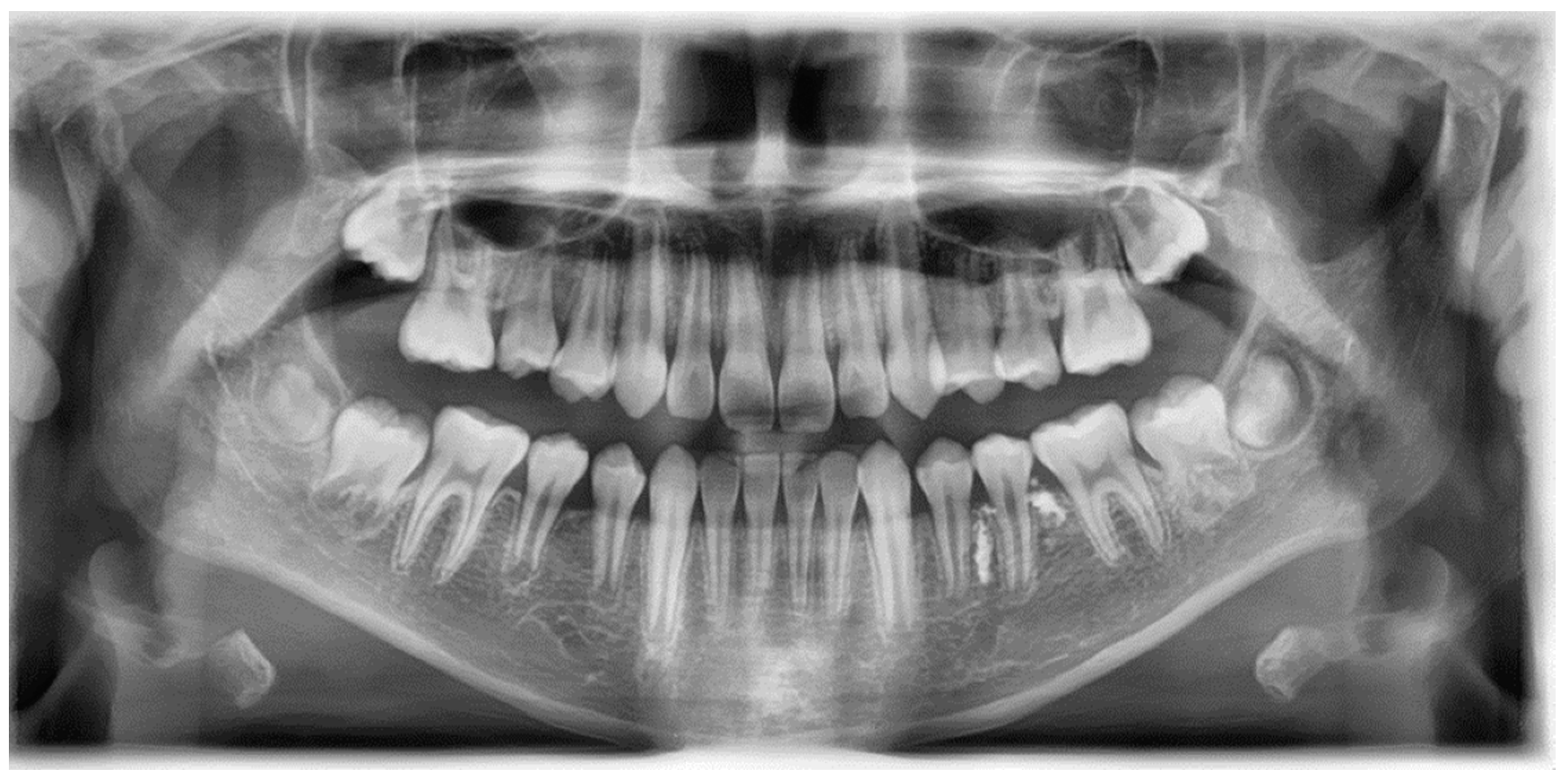 Applsci 13 11008 g006