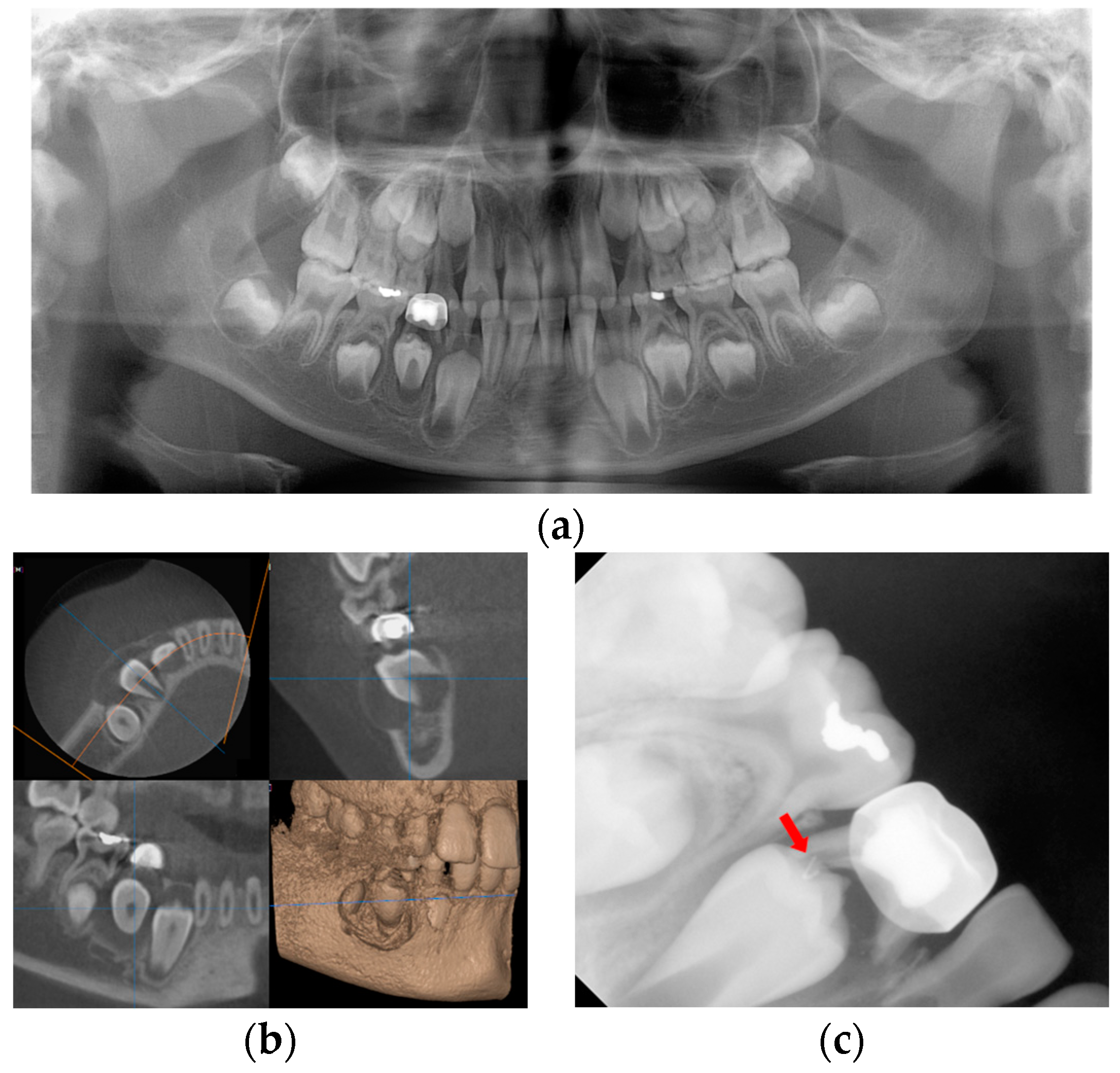 Applsci 13 11008 g007